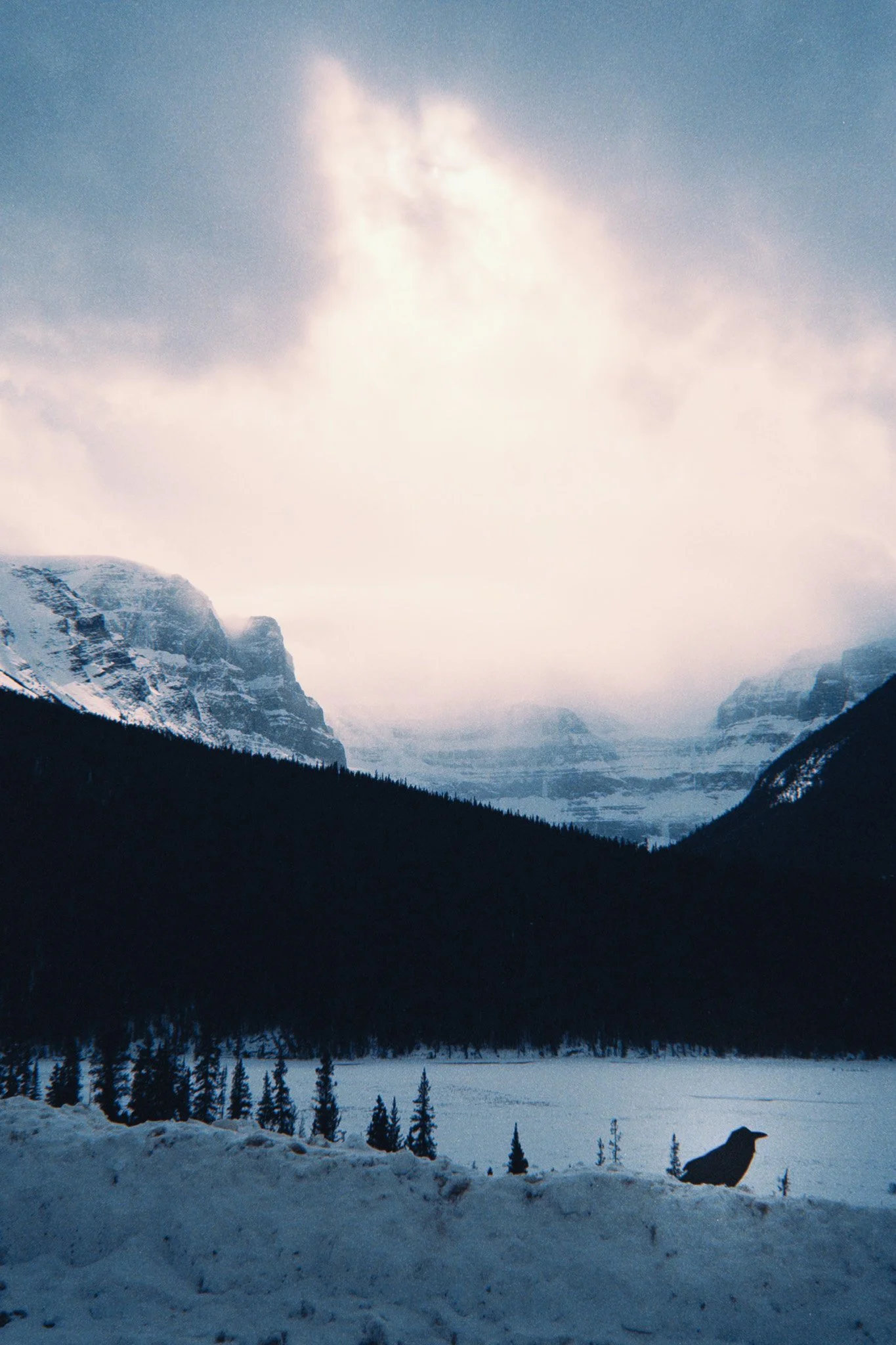 alaskaExodus-51.jpg
