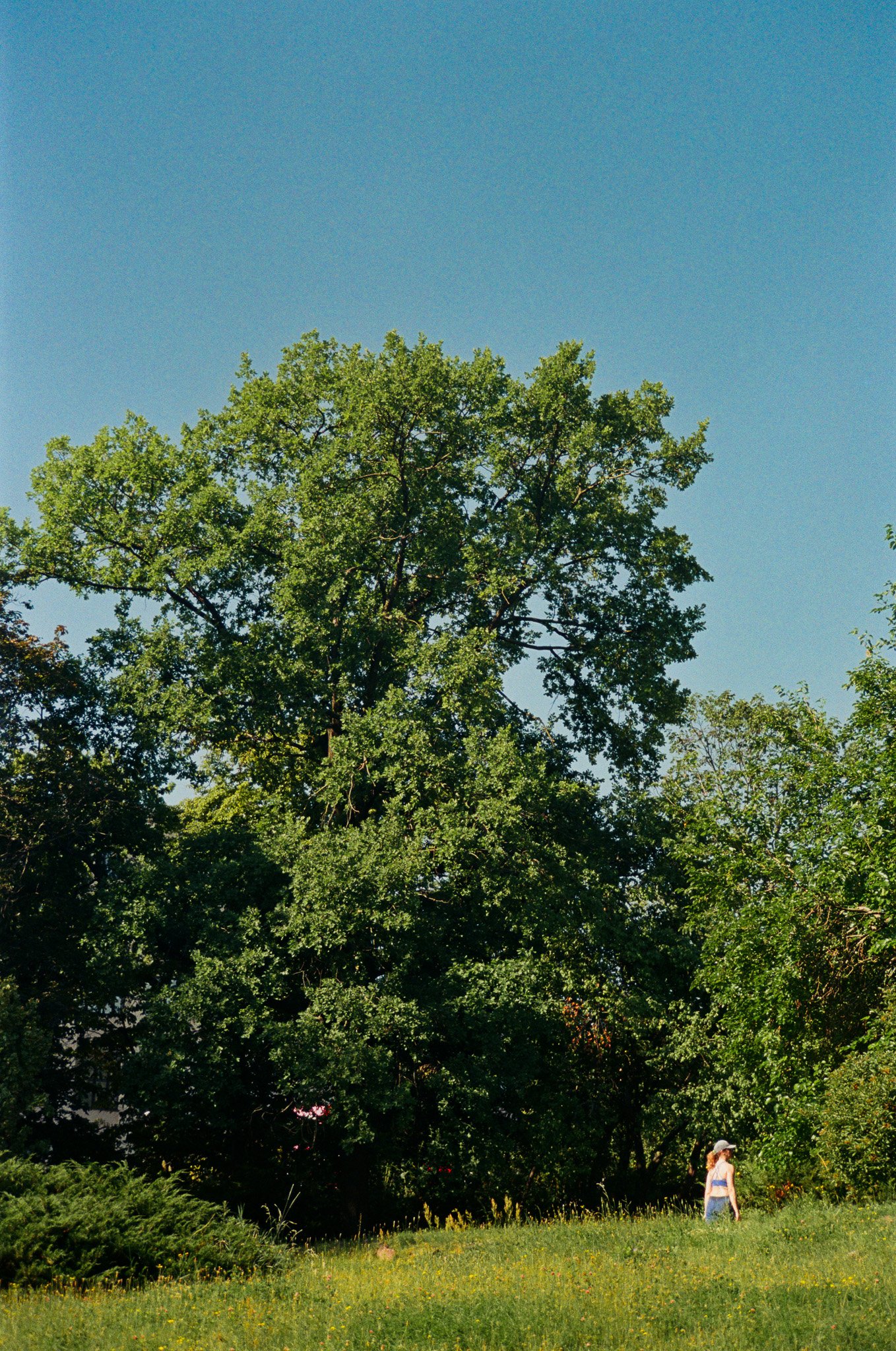 Poland_June25-16.jpg