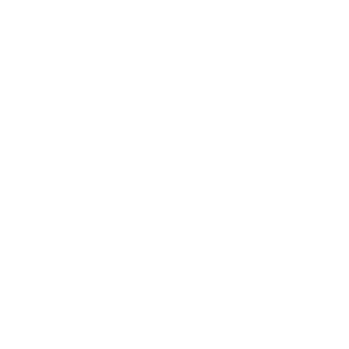Graphic Designer + Illustrator