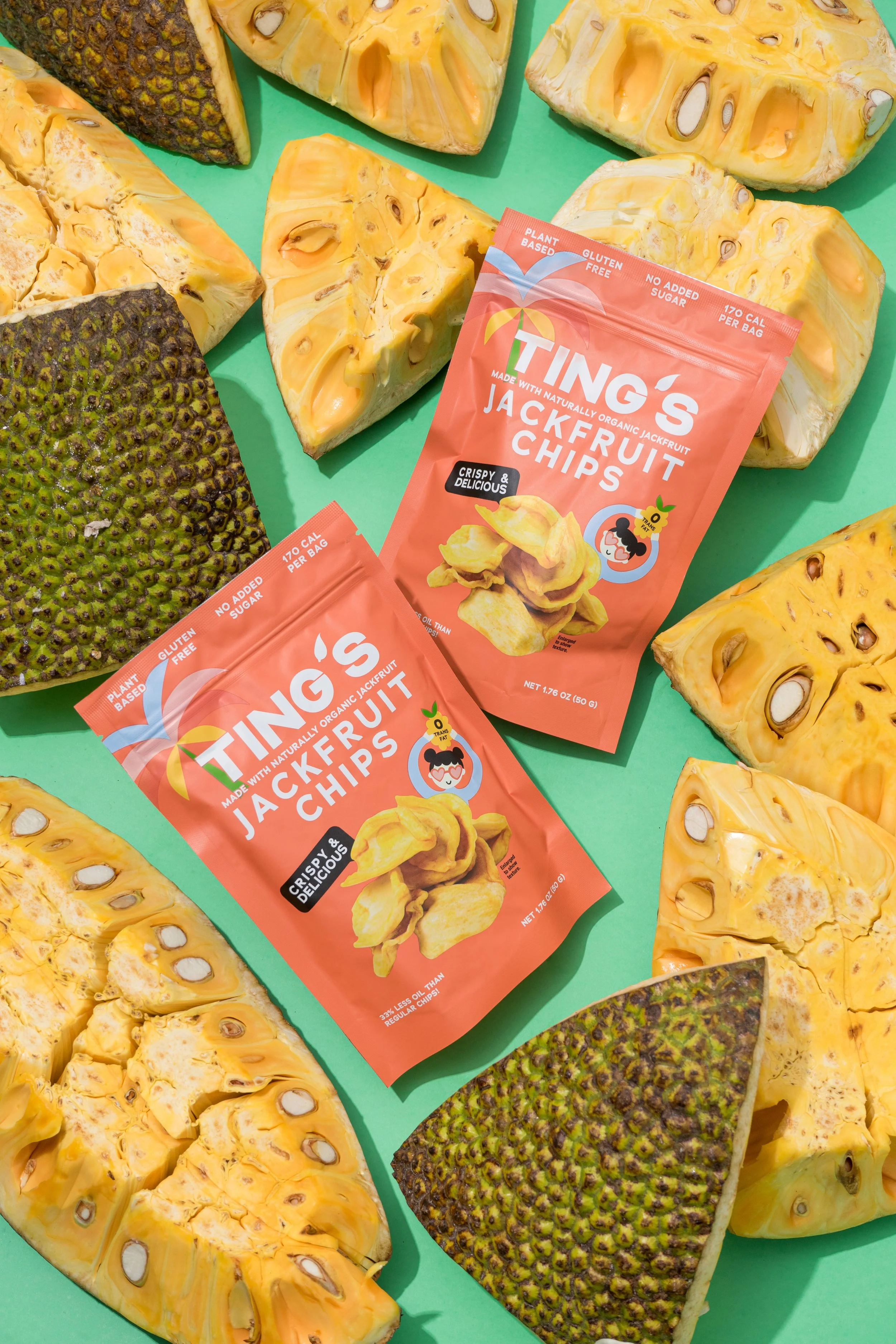 Ting's Jackfruit Chips 010.jpg