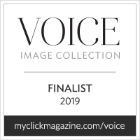 2019VoiceCollection_Finalist_badge.png