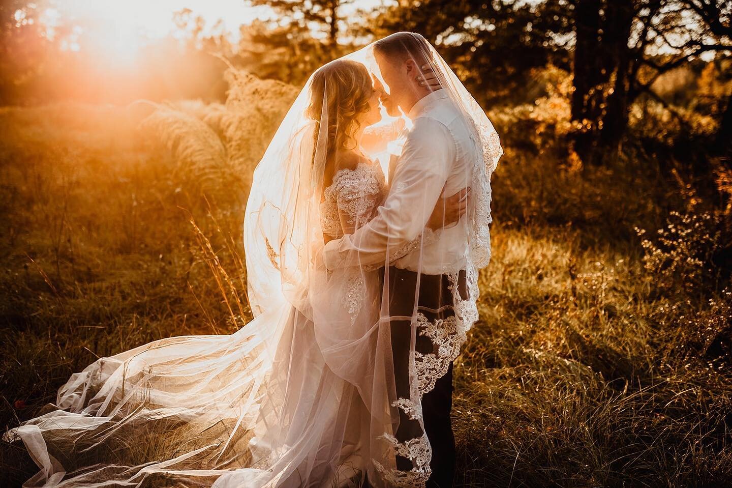 Lover of Light 
.
.
.
.
.
.
.
.
.
#utahmom #saltlakecity #fallphotography #fallphotoshoot #utahphotography #familyphotography #goldenlight #couplesphotography #moodyedit #lightroom #canonphotography #kaysvilleutah #ogdenutah #bigcottonwoodcanyon #lay