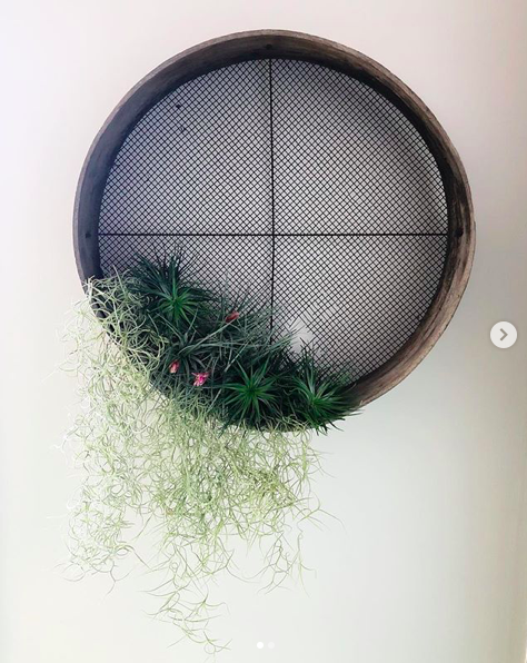 Screen Shot 2019-04-05 at 5.39.44 pm.png