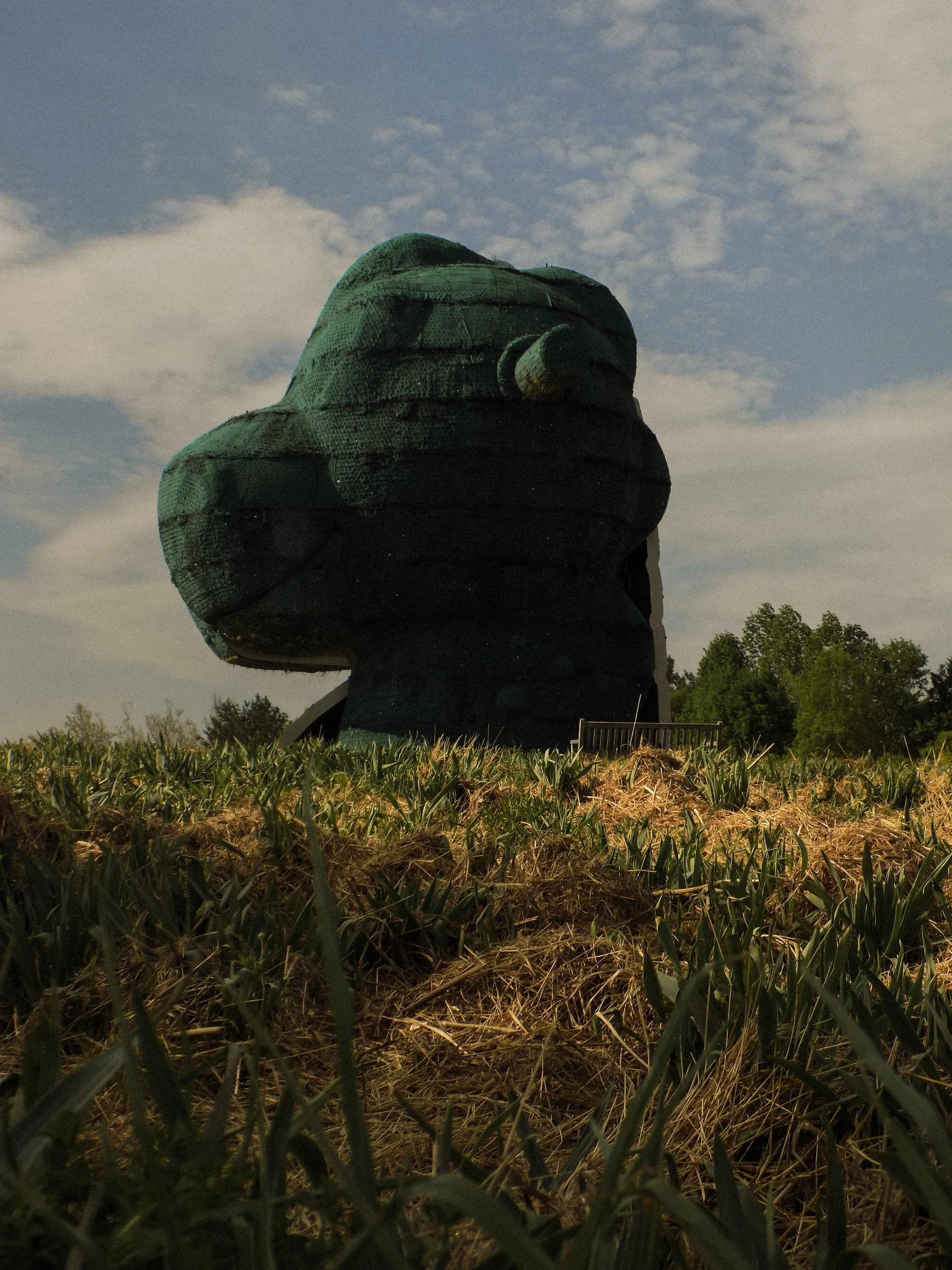06-06-26-10.jpg