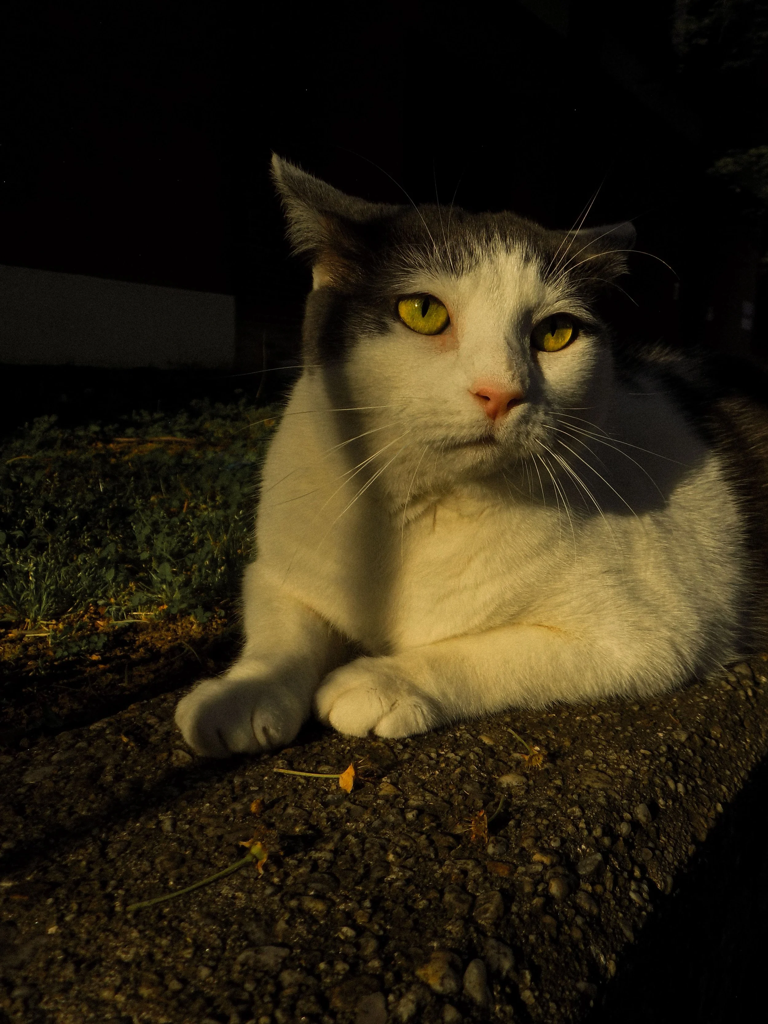 DSCN0464-Edit.jpg