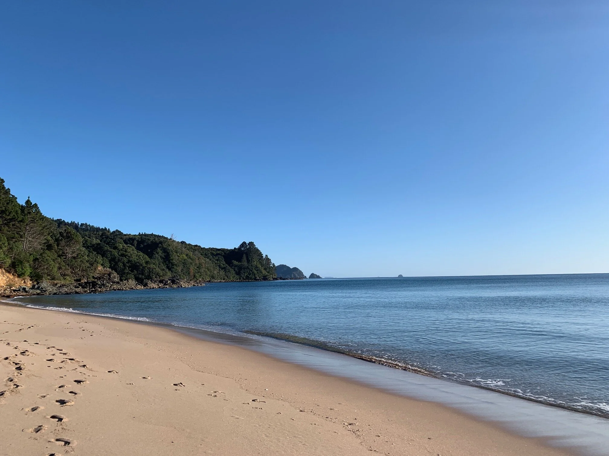 Footsteps Tairua.JPG