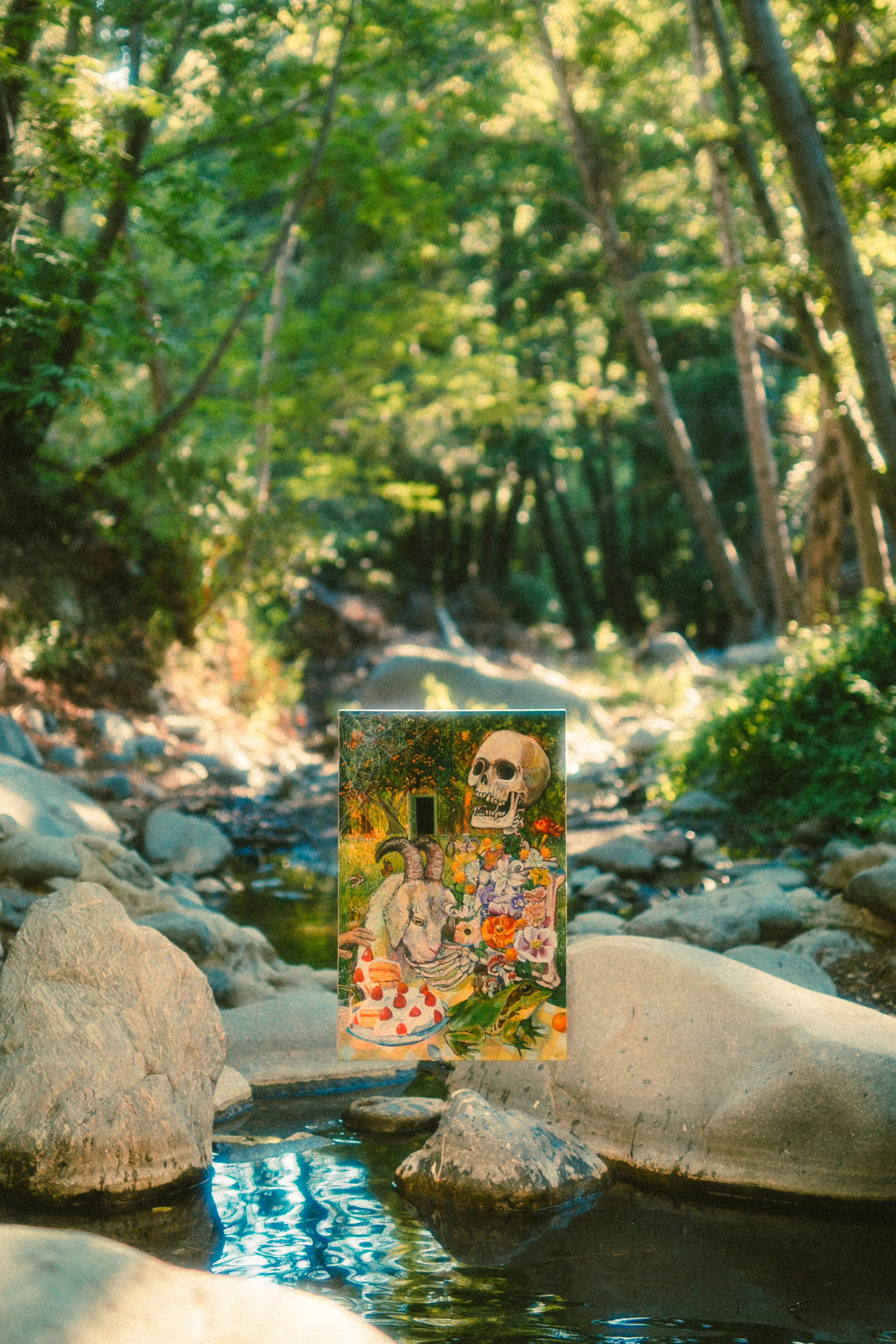 'I look to the sun and see nothing' (|)