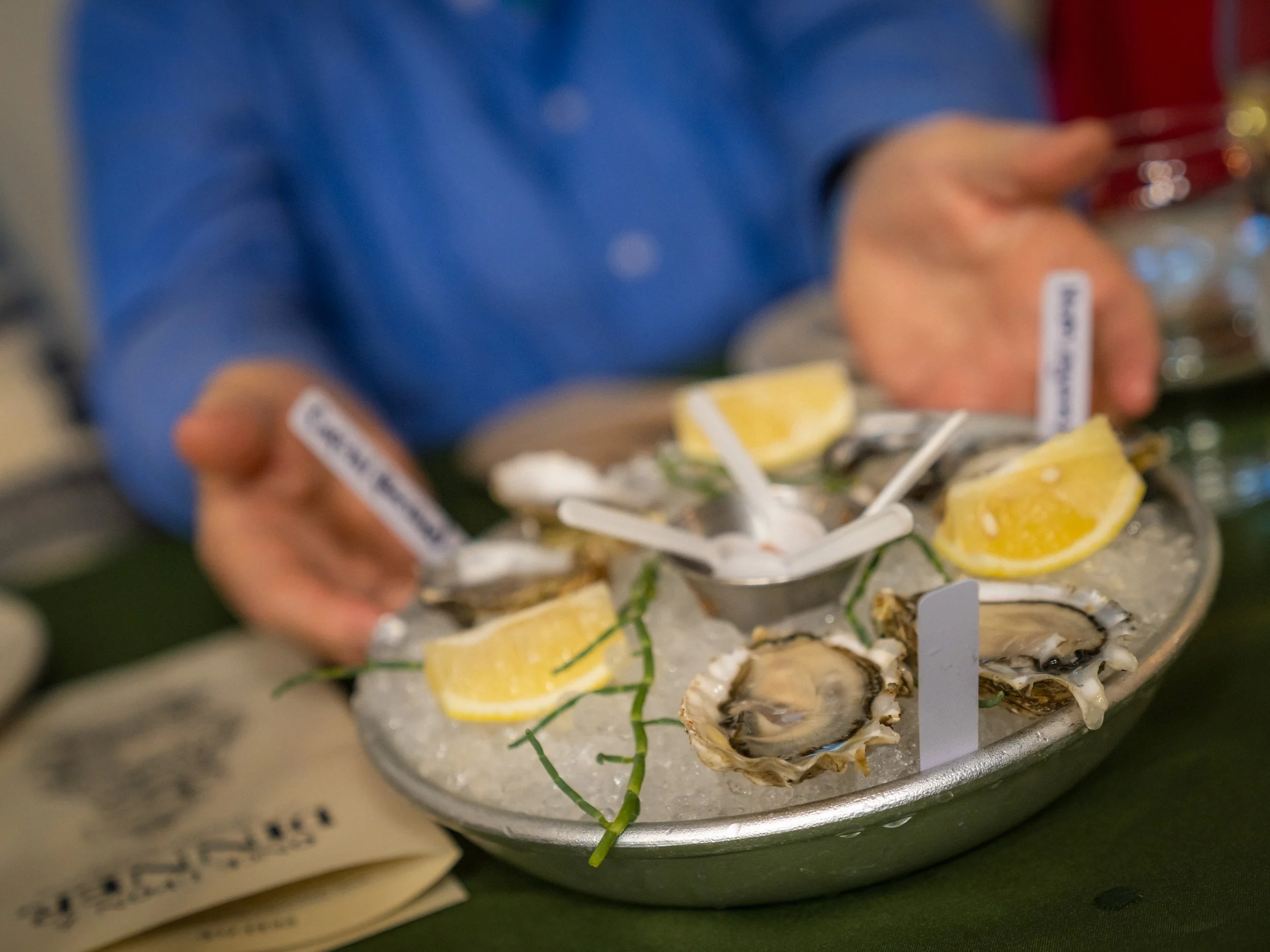 Tide’s Out! – Hood Canal Shellfish Festival