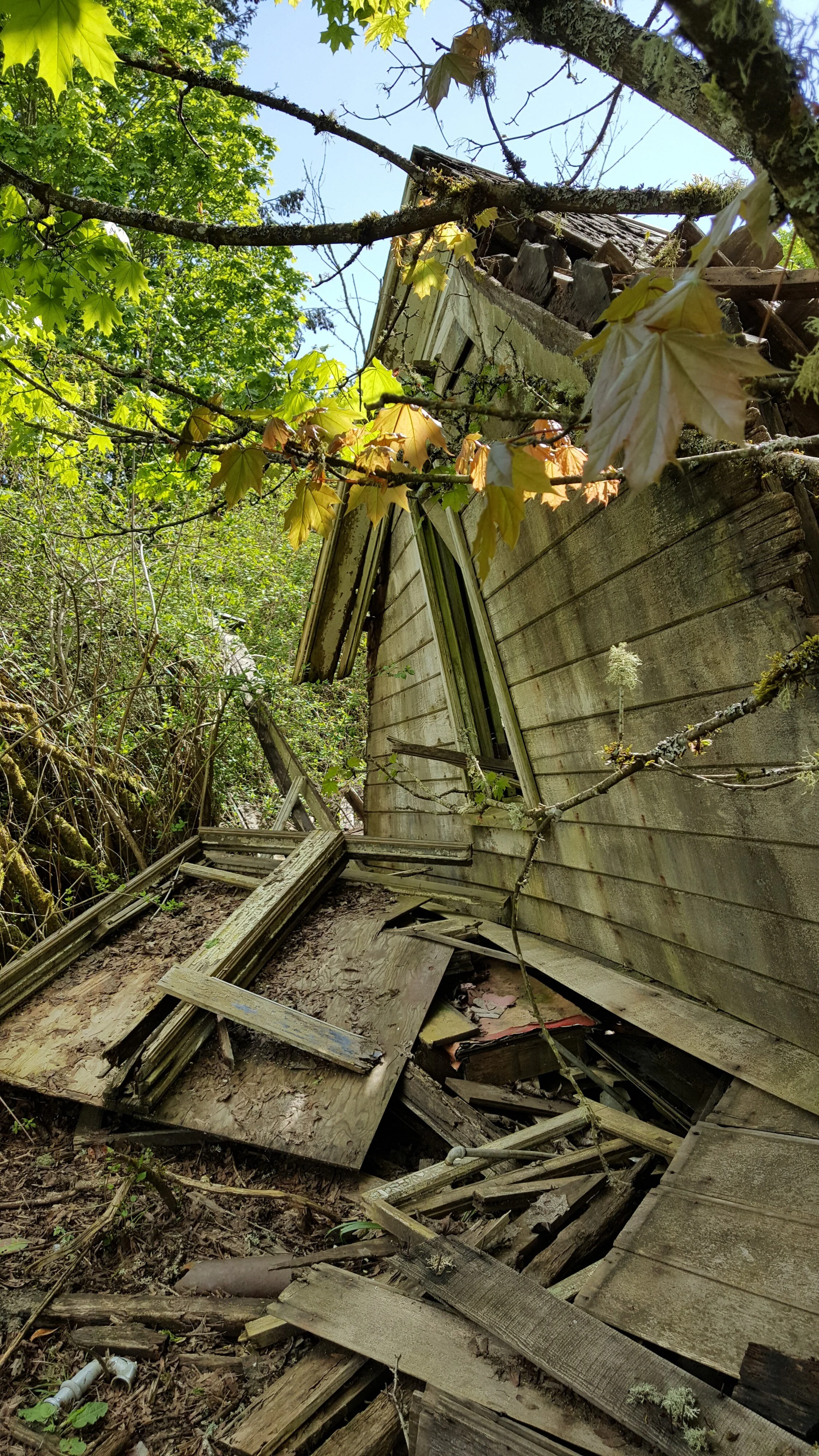 The intriguing Decay found on a Gorgeous Spring Day