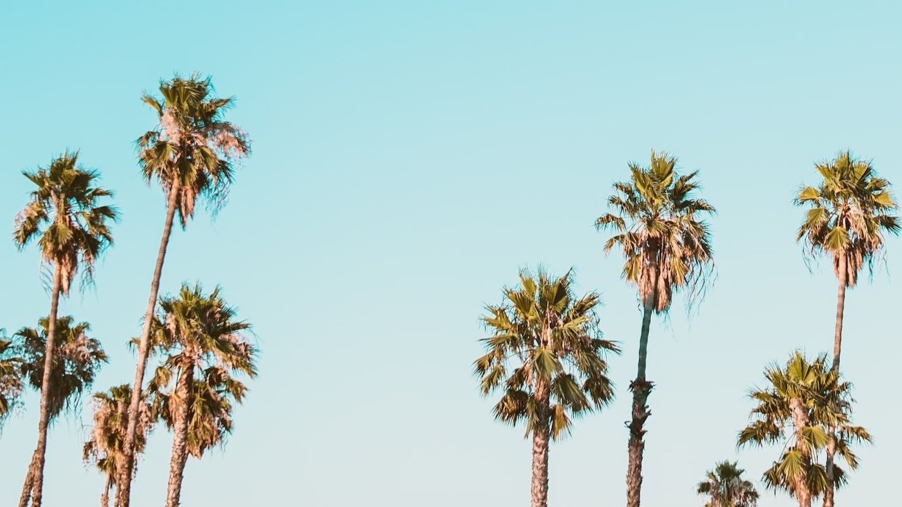 unsplash-image-5y4ljzRrDFA.jpg