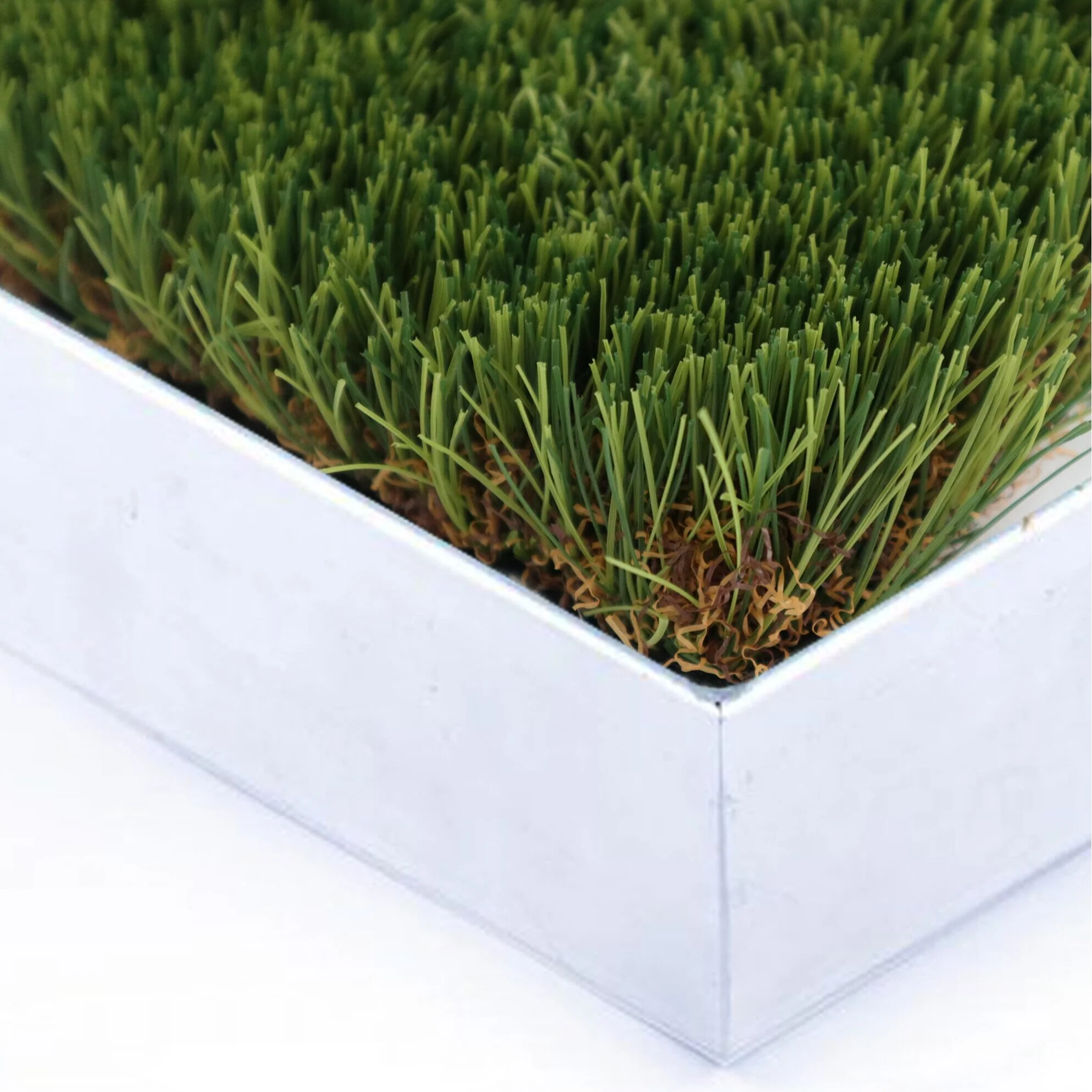 Prograss-London.jpg
