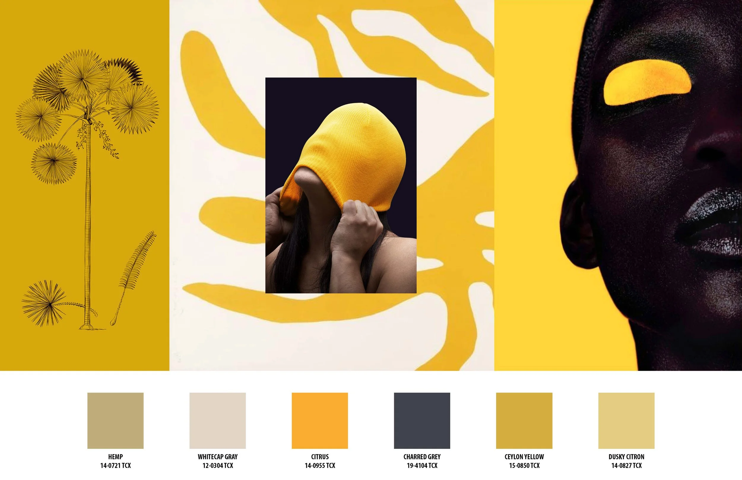 FH21 Color Boards_Page_7.jpg