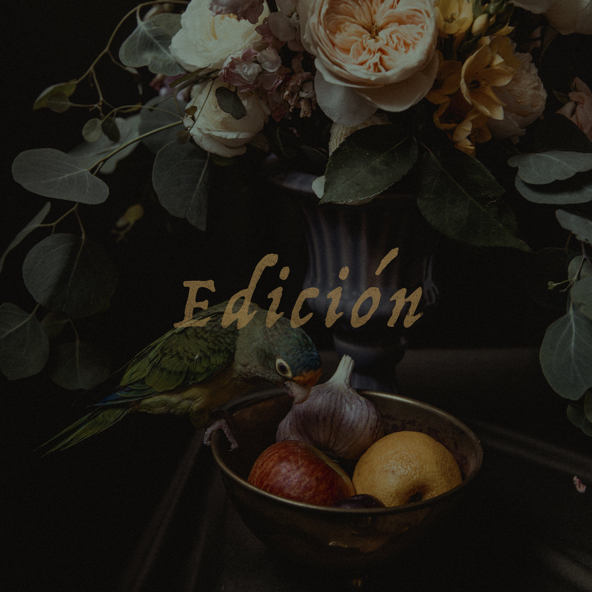 EDICIÓN