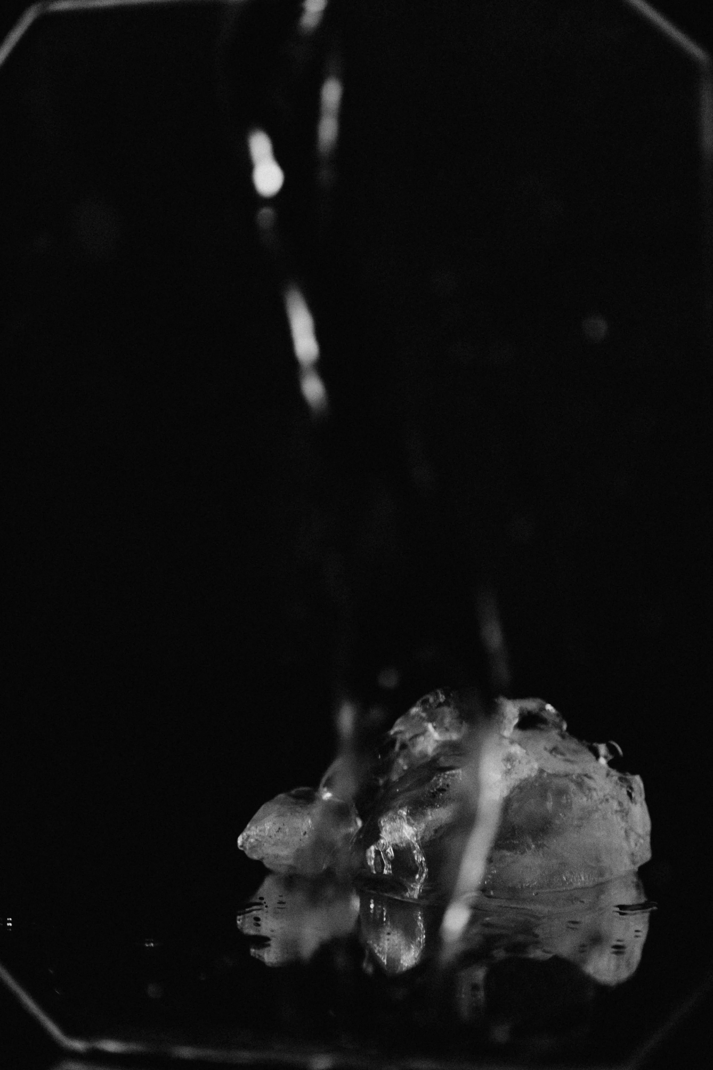 3I7A9399-2.jpg