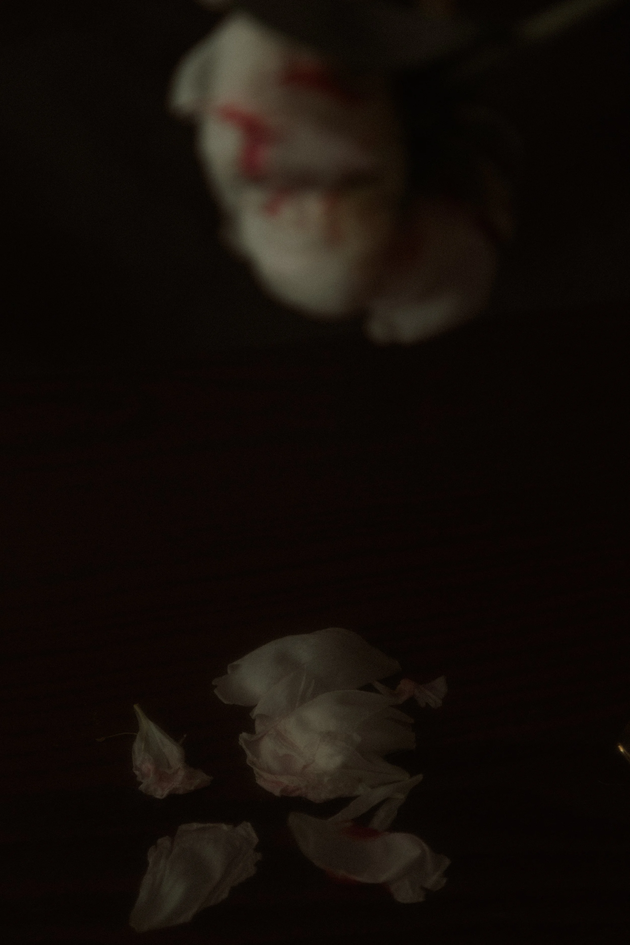 3I7A0214.jpg