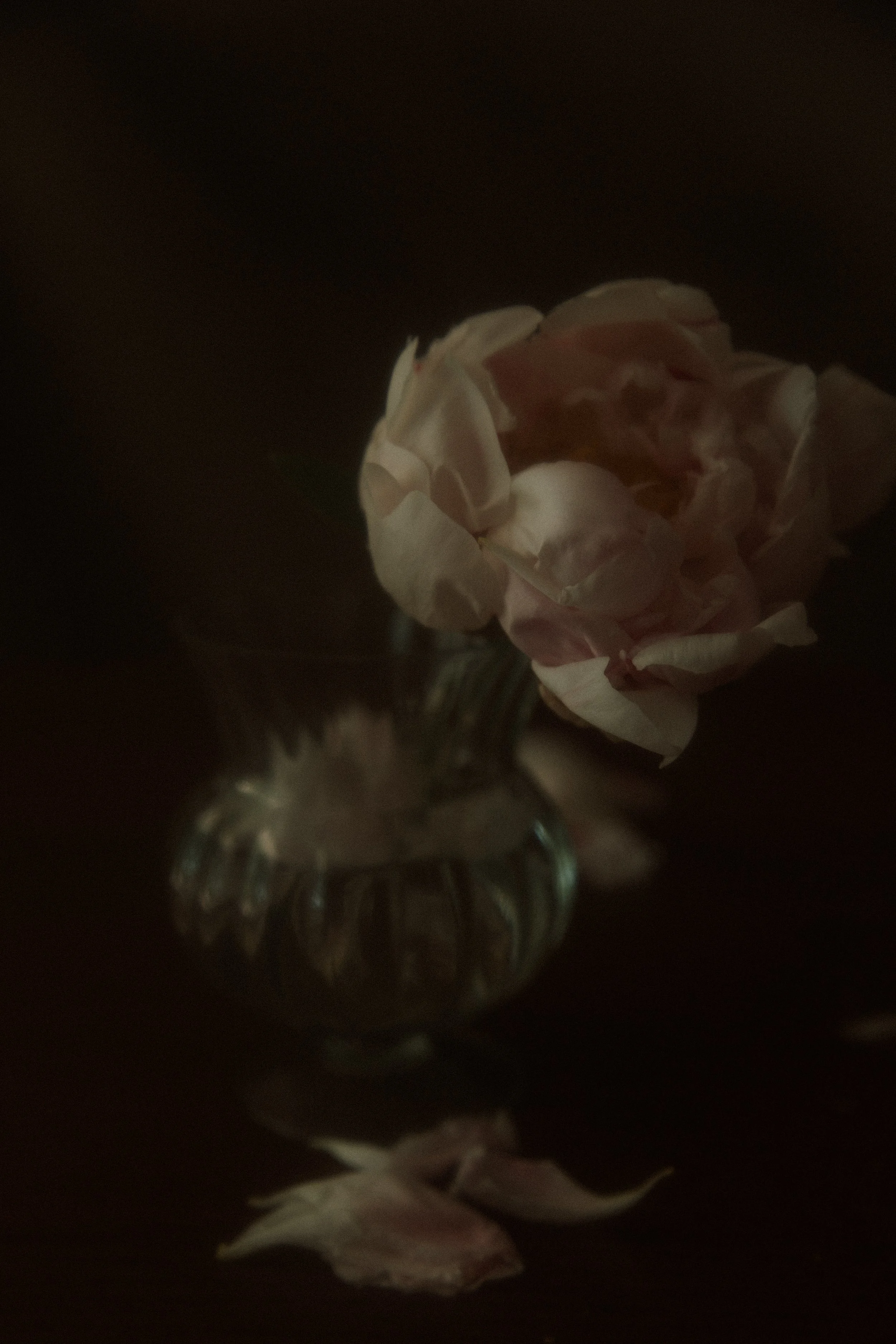 3I7A0114.jpg
