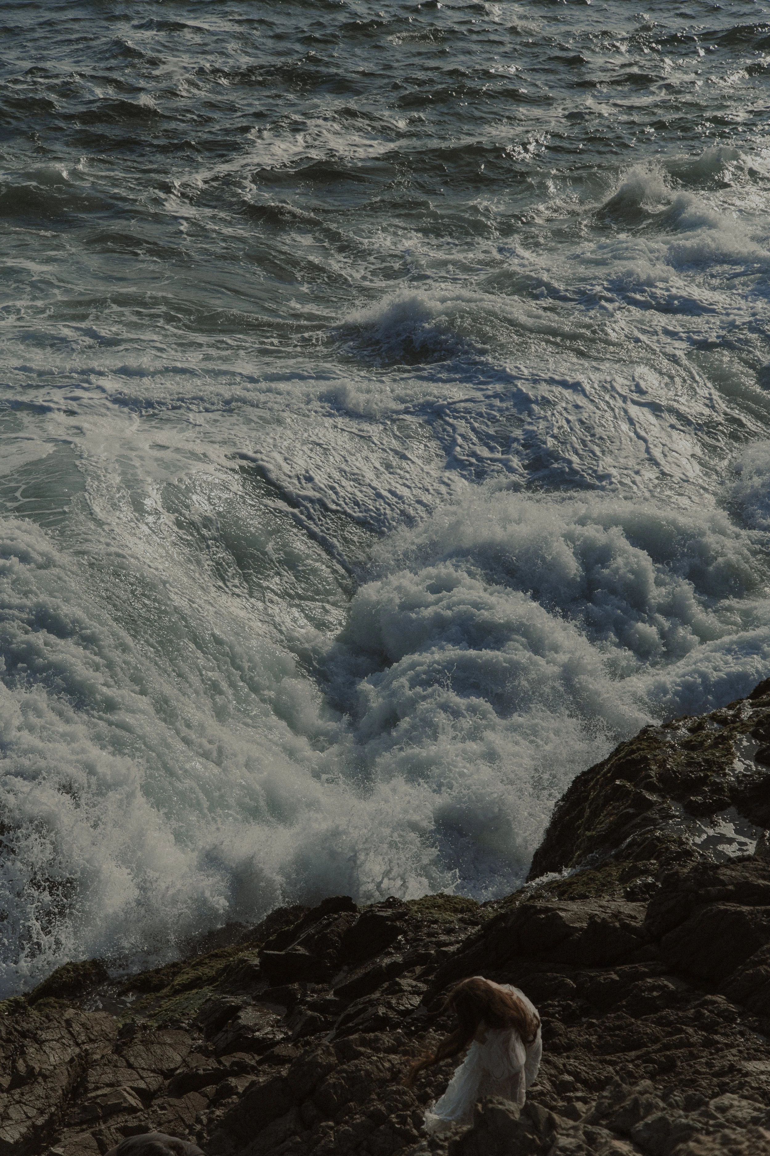 3I7A7882-2.jpg