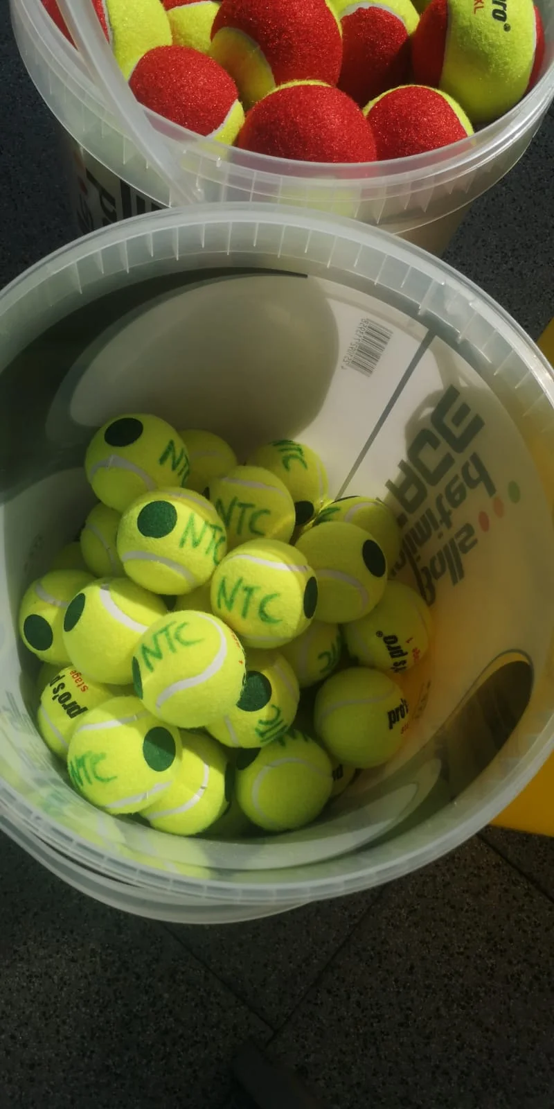 Beginn des Schnuppertrainings