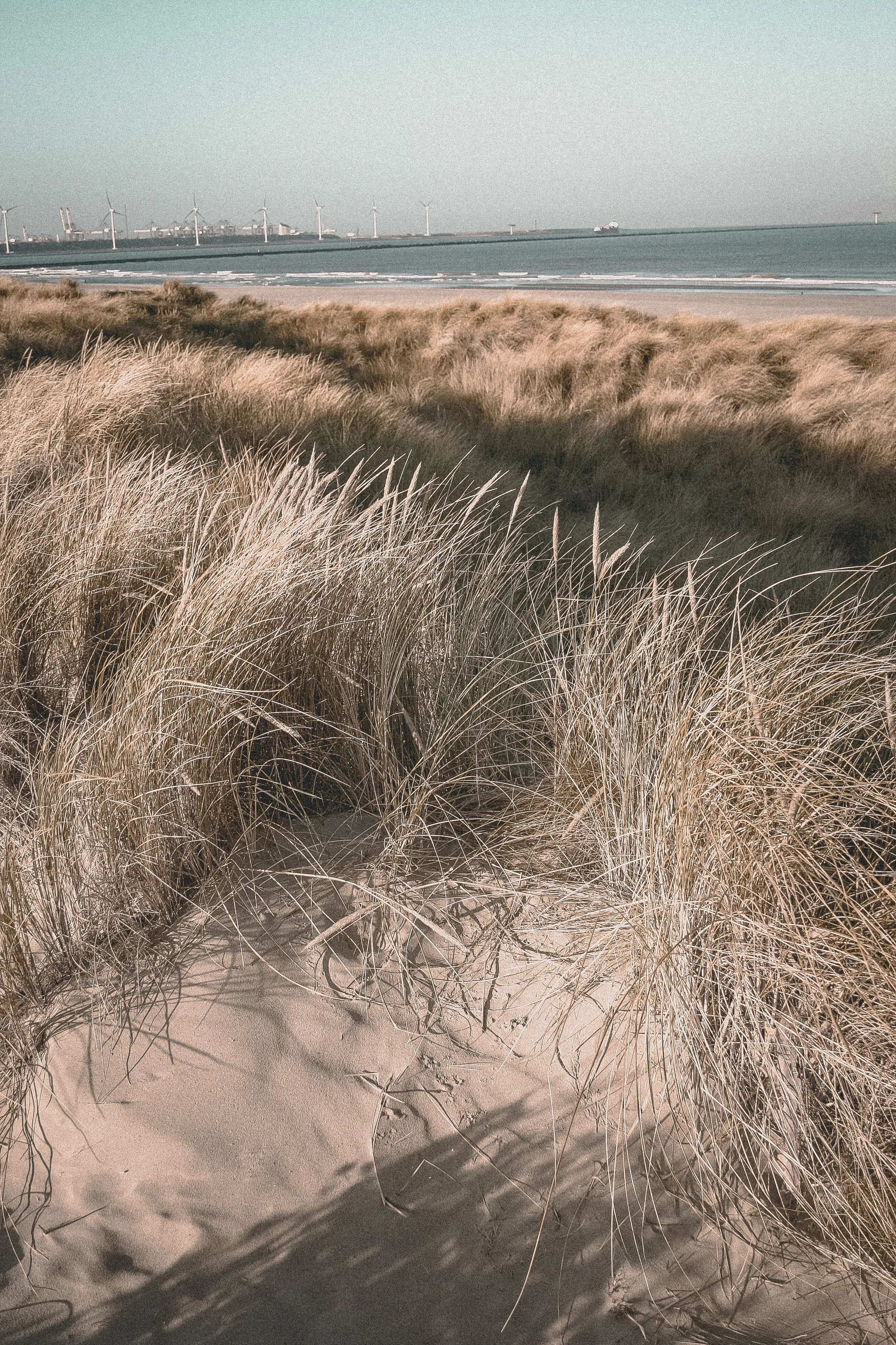 Vintage Beach Life by paperheartpolaroids (7).jpg