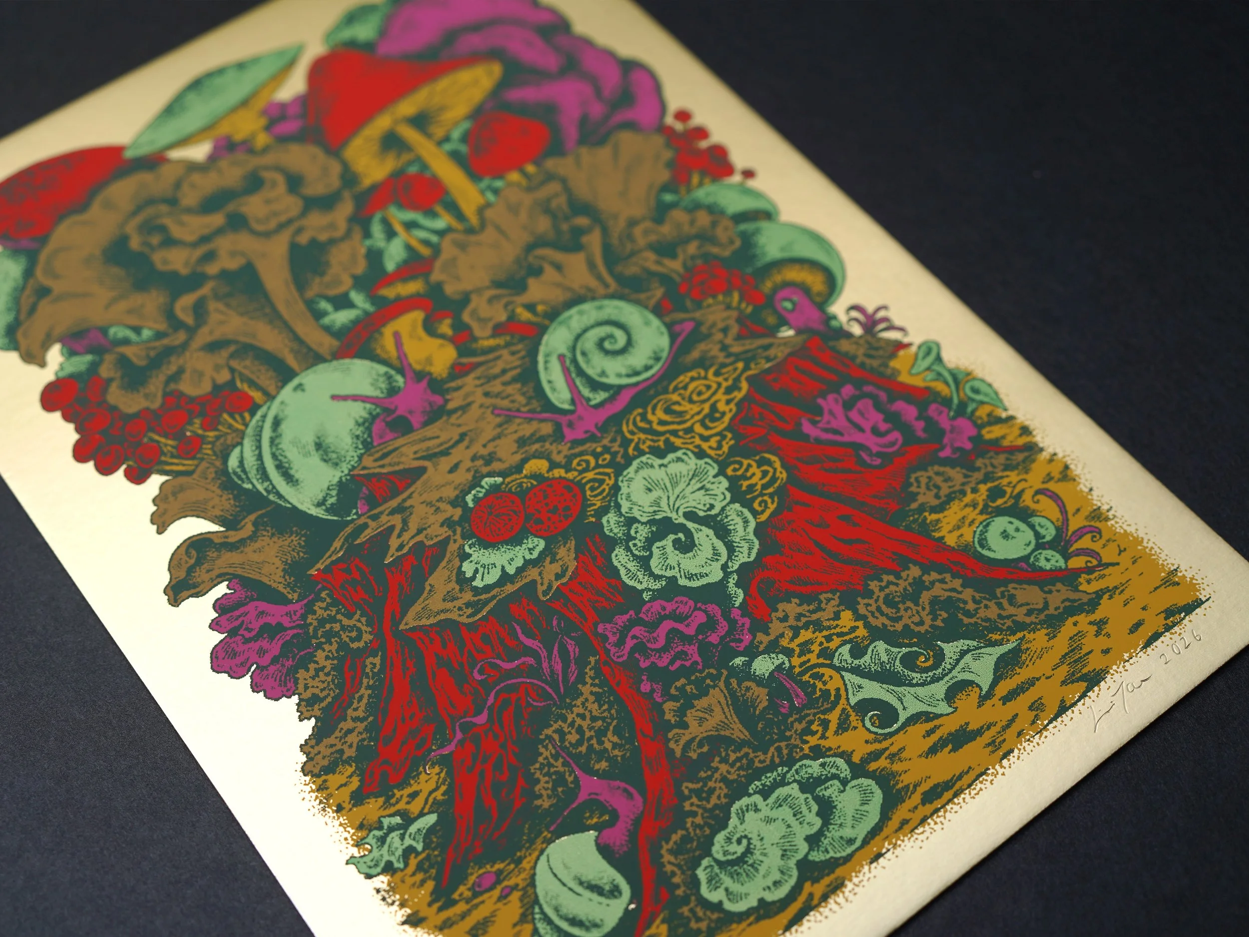 Lili Tae - Mushroom_02.jpg