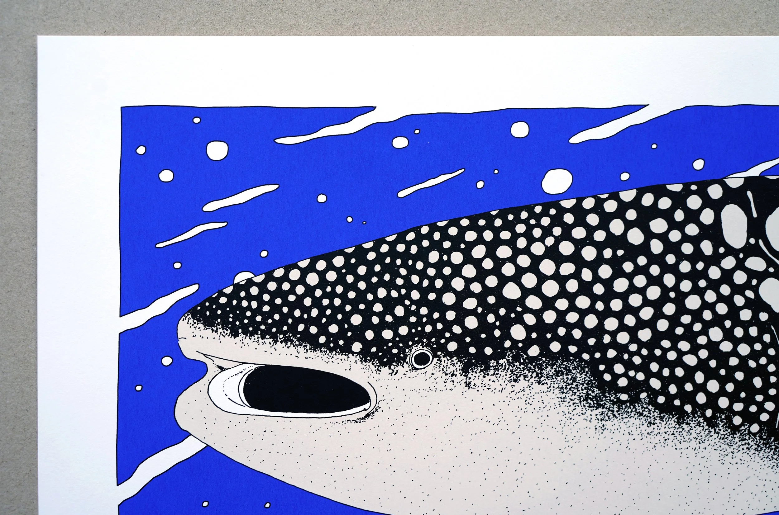 nene_whale-shark_1.jpg