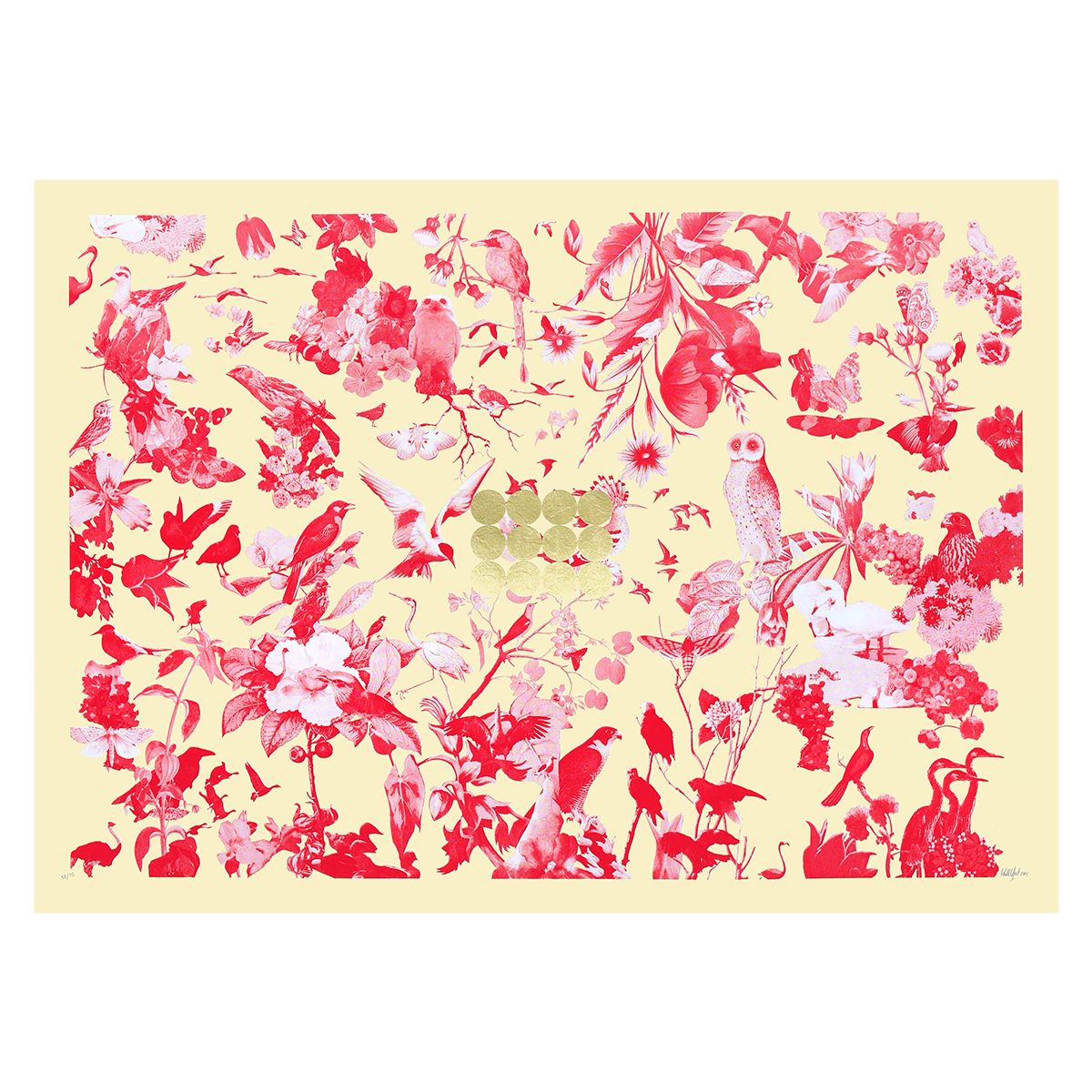 Birds and Butterflies