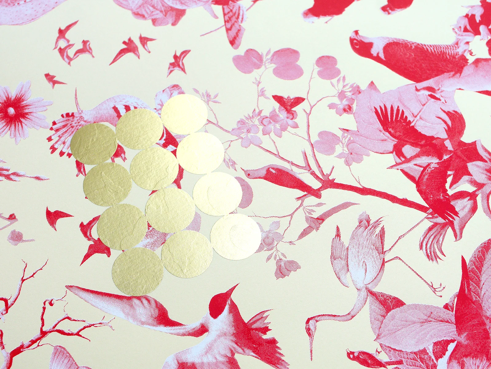 zit_birds&butterflies02.jpg