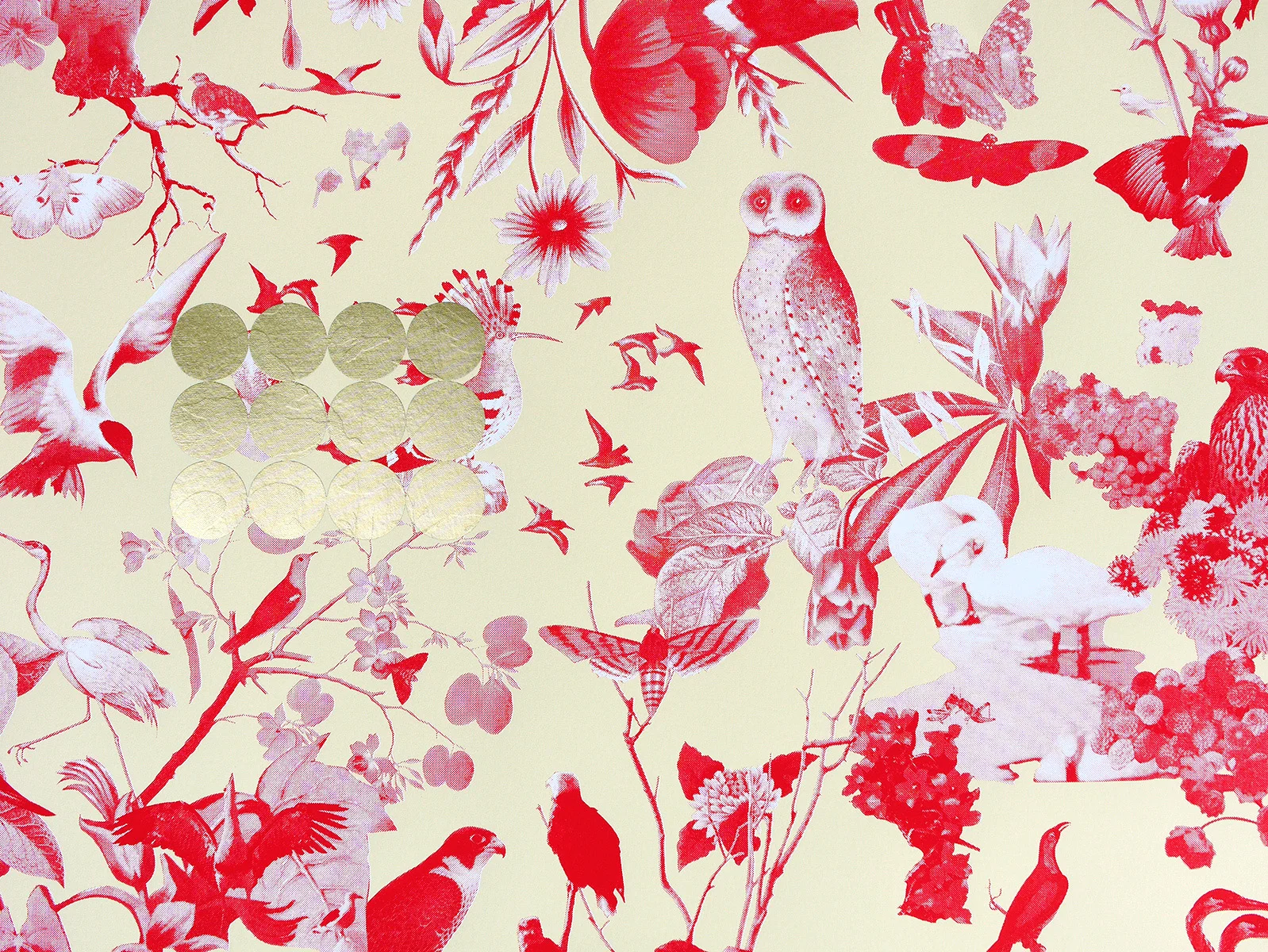 zit_birds&butterflies03.jpg