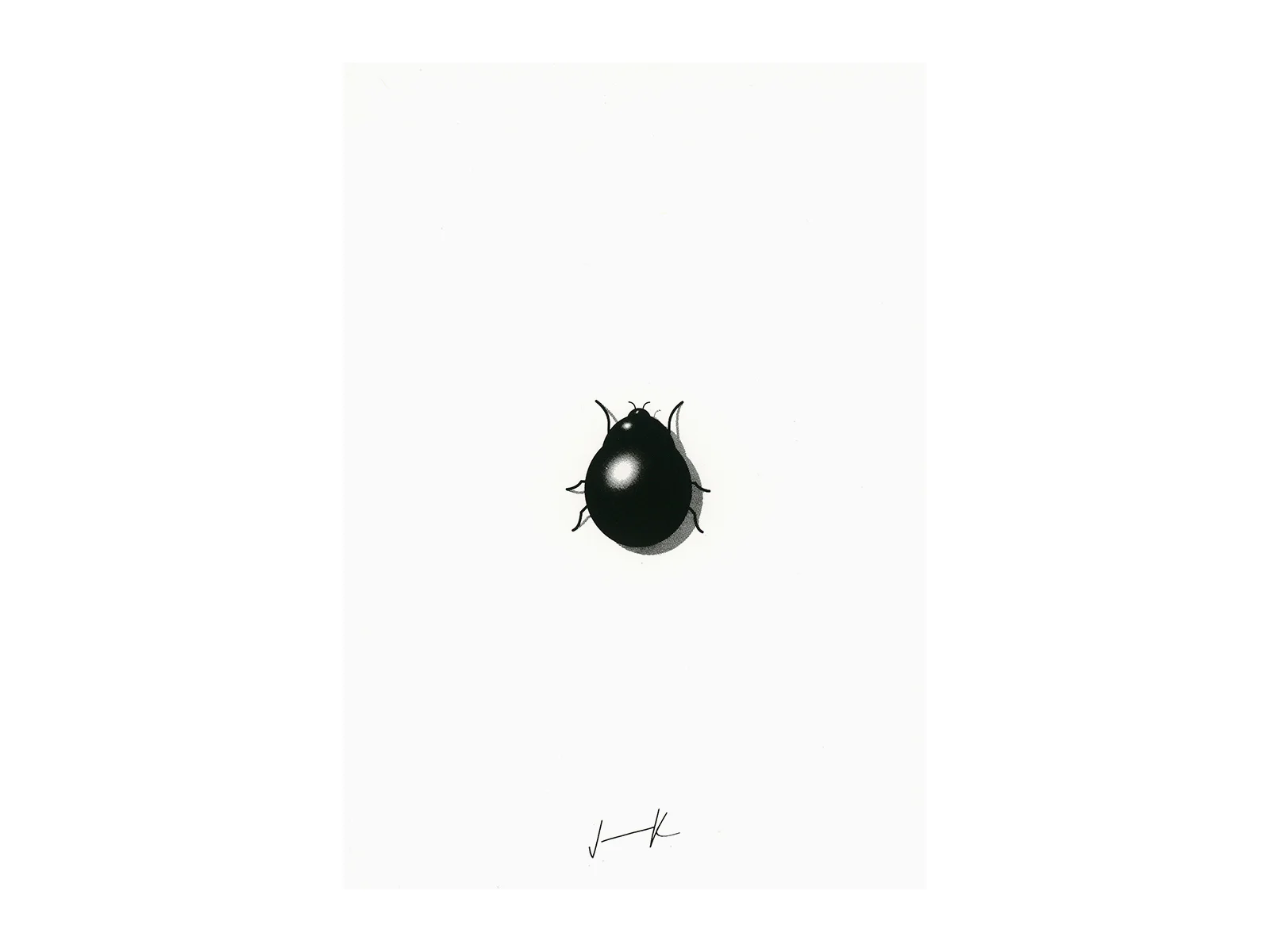 JarkJarut—EI_ladybird.jpg