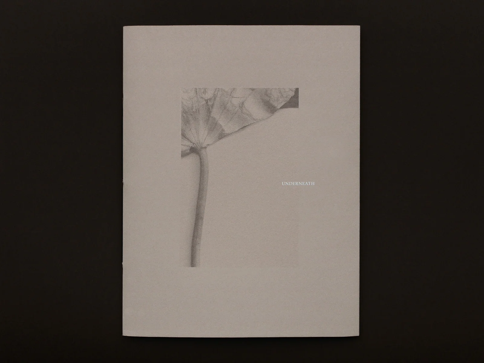 Rossatorn—Underneath_01a.jpg