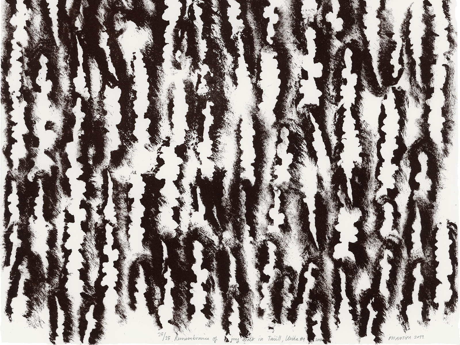 Phantipa—Remembrance of my walk in Taüll 02.jpg