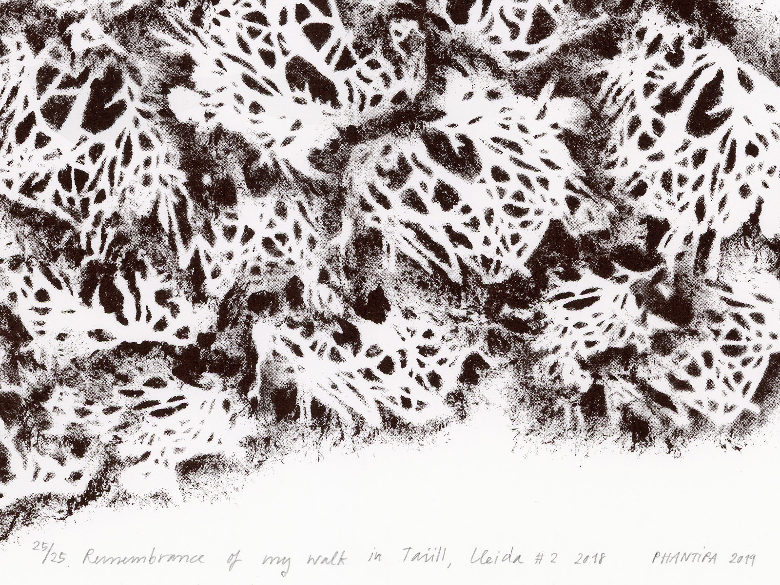 Phantipa—Remembrance of my walk in Taüll #2 02.jpg