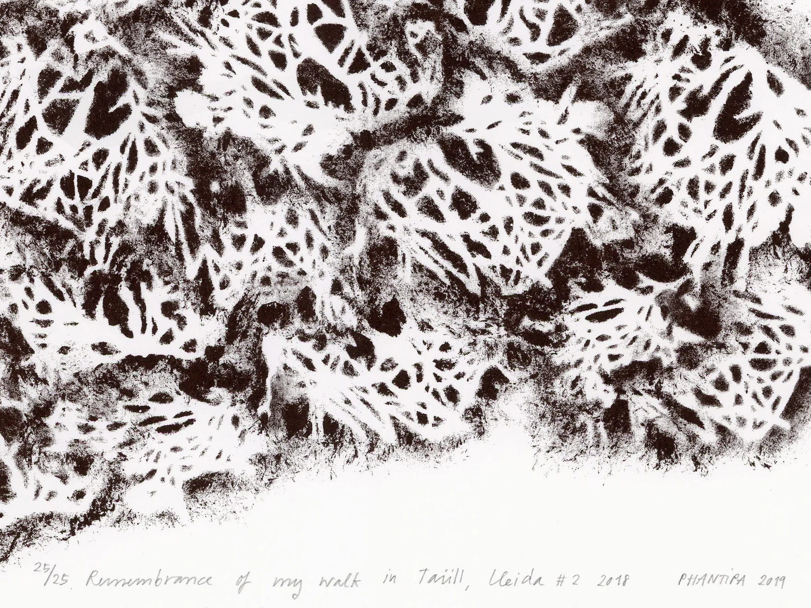 Phantipa—Remembrance of my walk in Taüll #2 02.jpg