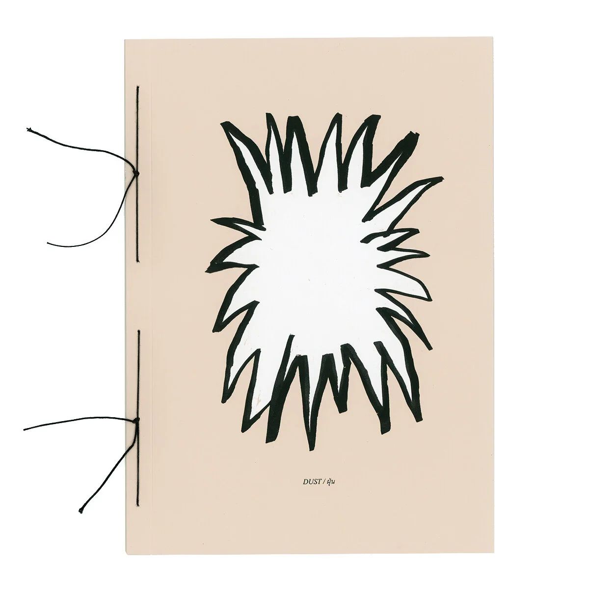 DUST / ฝุ่น