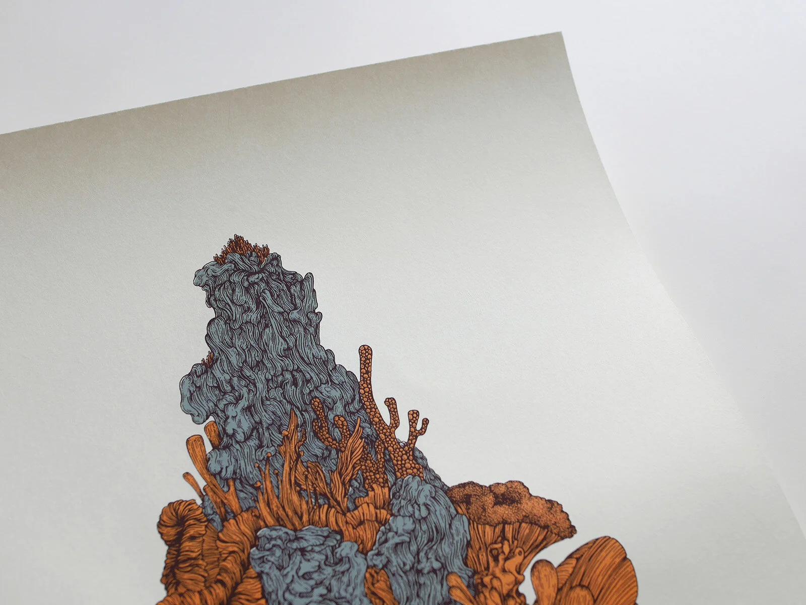 LiliTae—Coral3.jpg