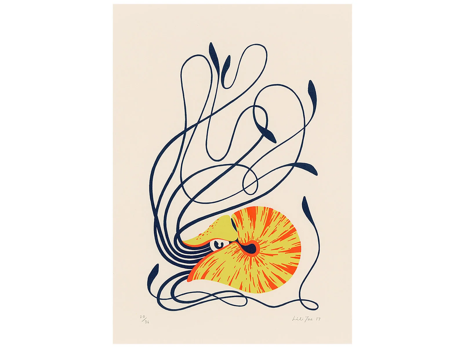 LiliTae—Nautilus.jpg