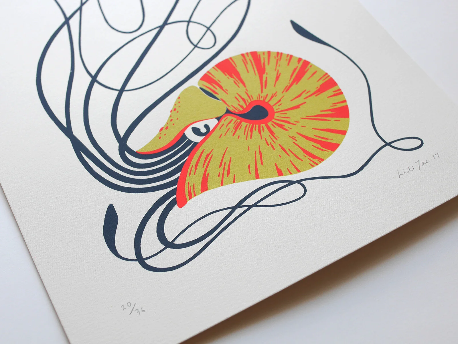 LiliTae—Nautilus2.jpg
