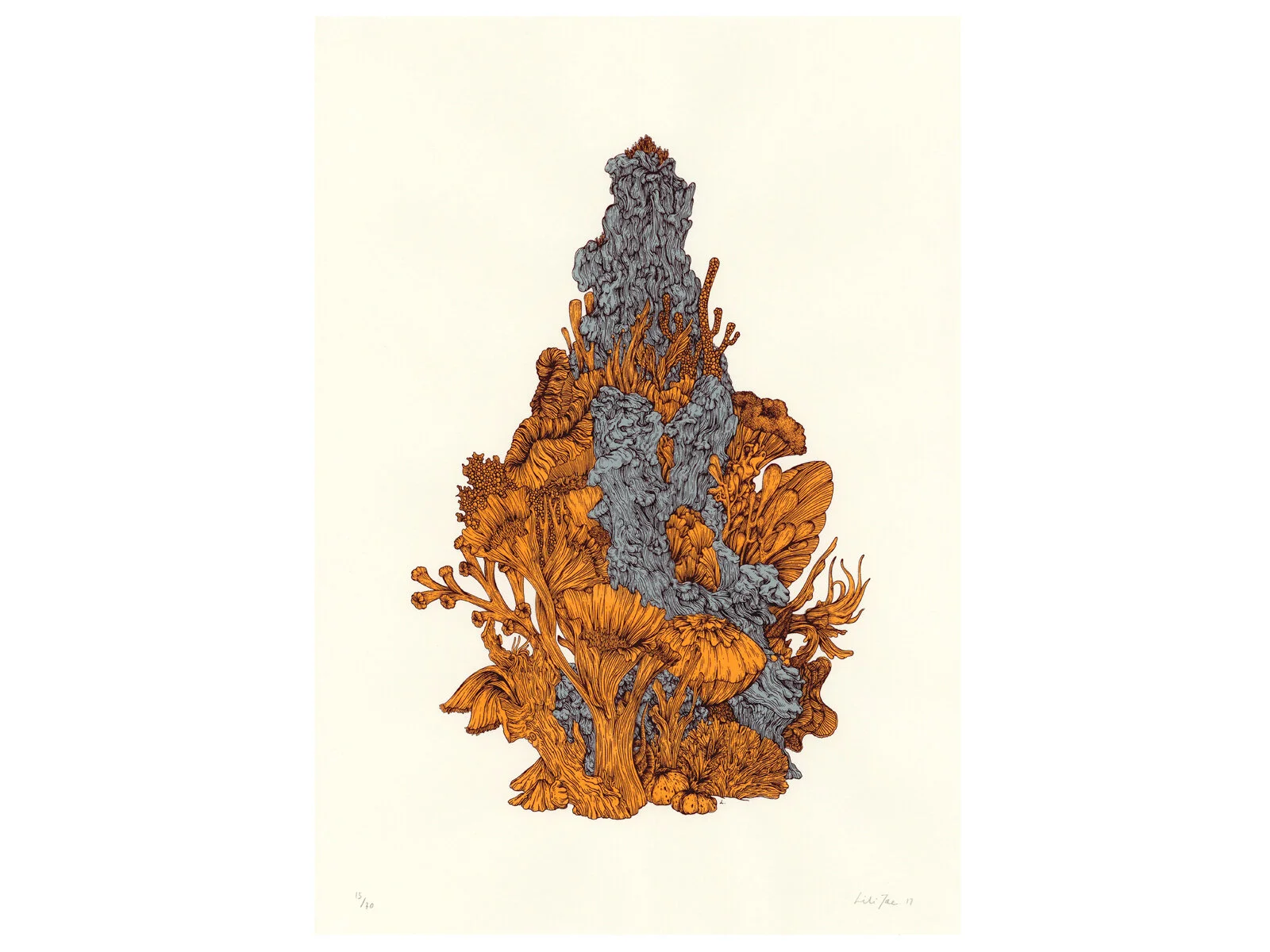 LiliTae—Coral.jpg