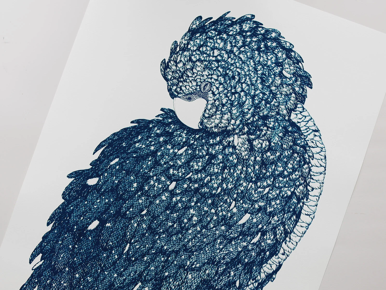 FDEBB981-1AE0-41F0-B19D-25E23049531D