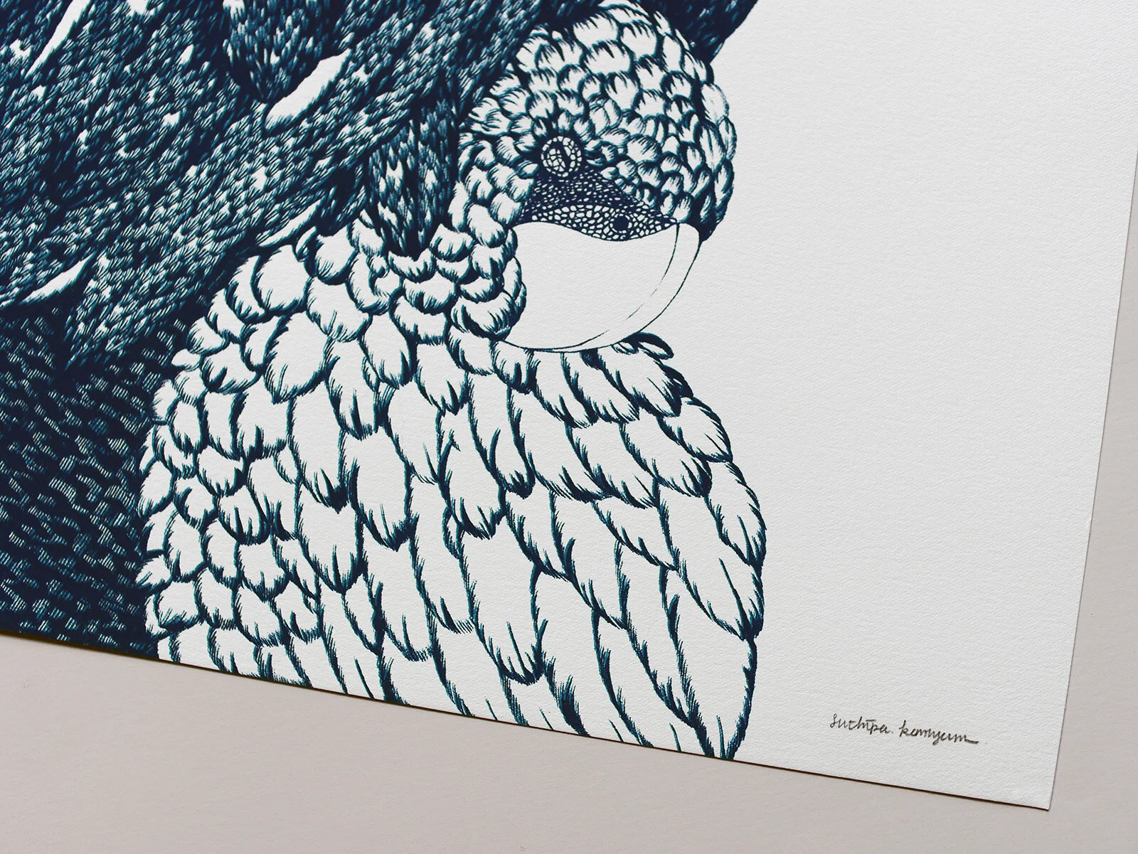 ADE0B8CB-44E4-47C5-9C6E-F3620498F7BE