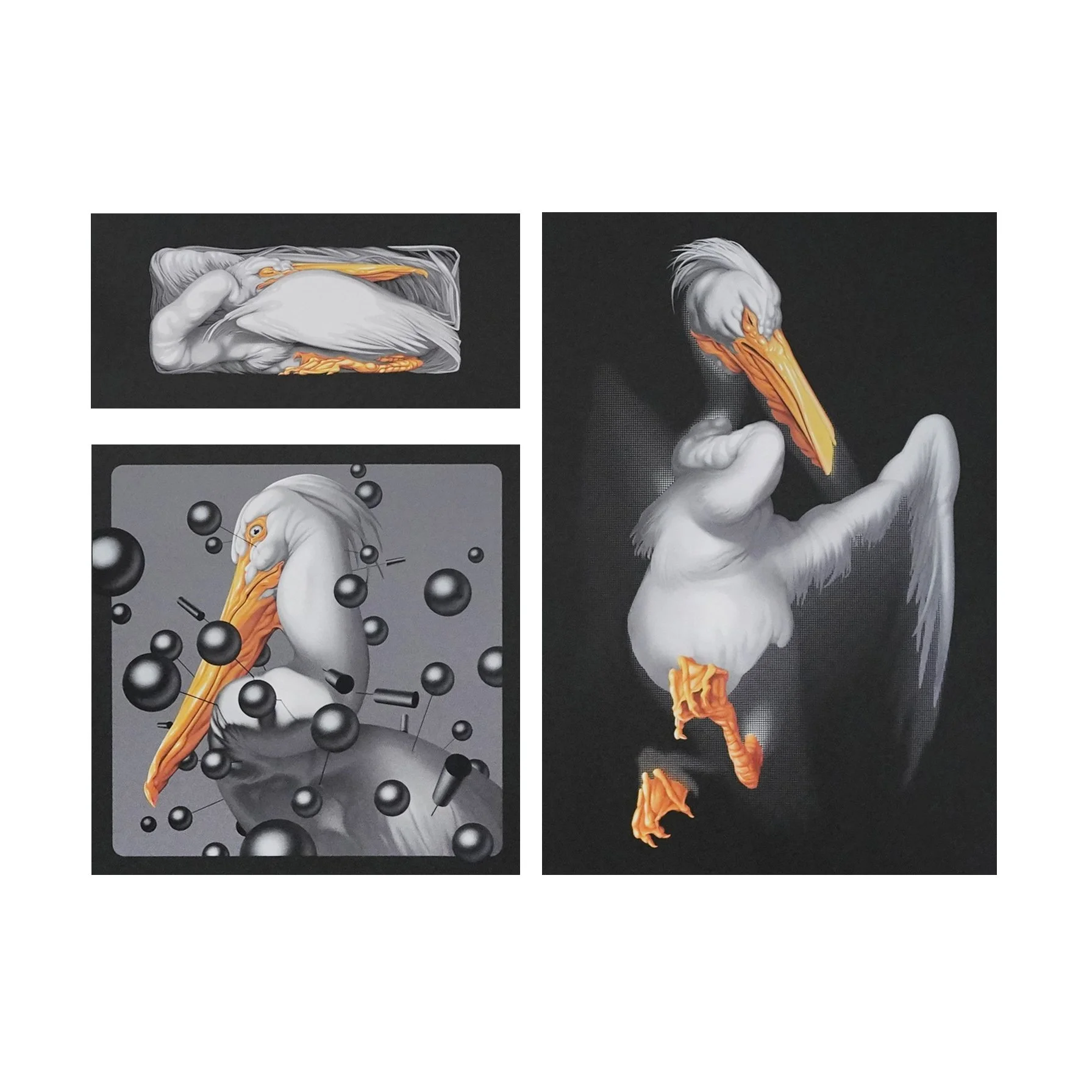 Pelican (series)