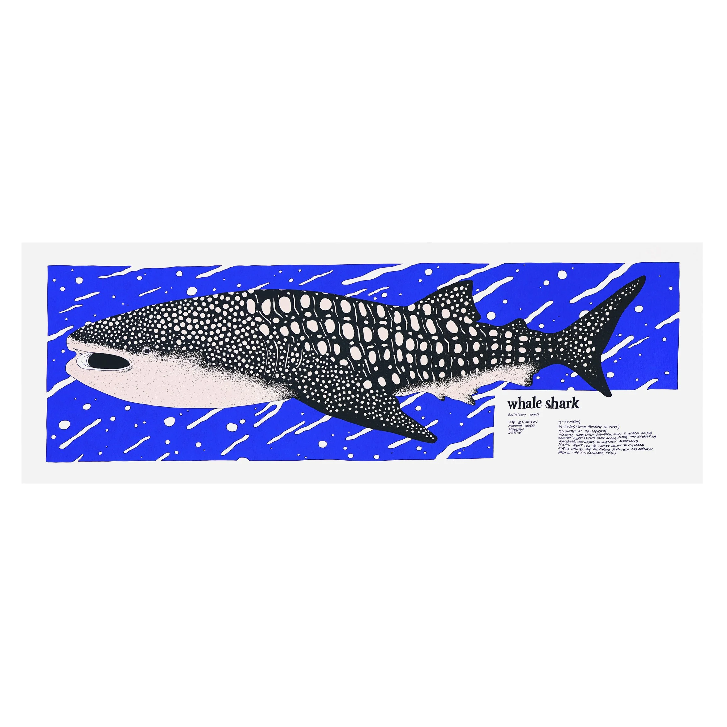 whale shark