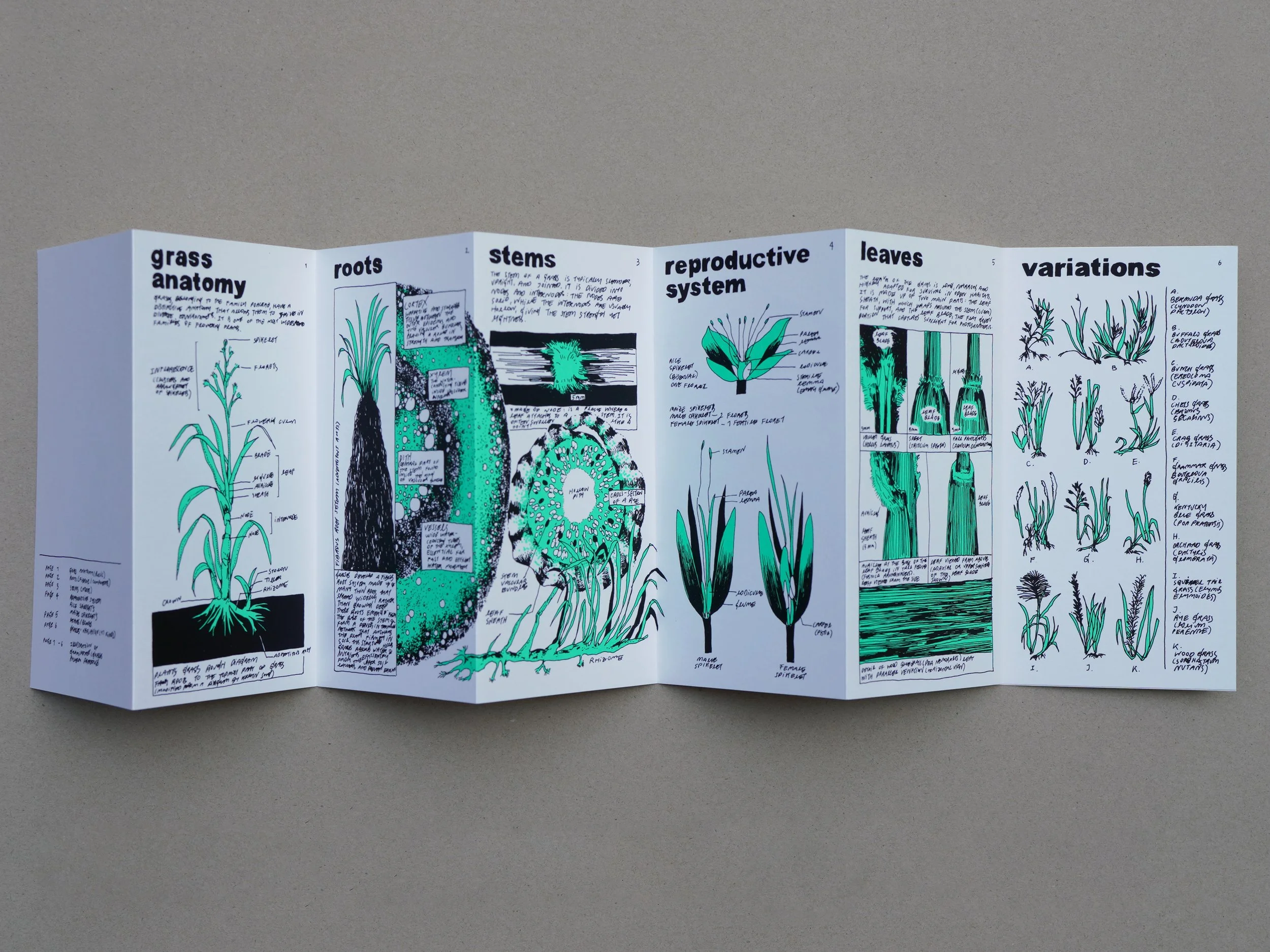 nene_grass_zine_07.jpg