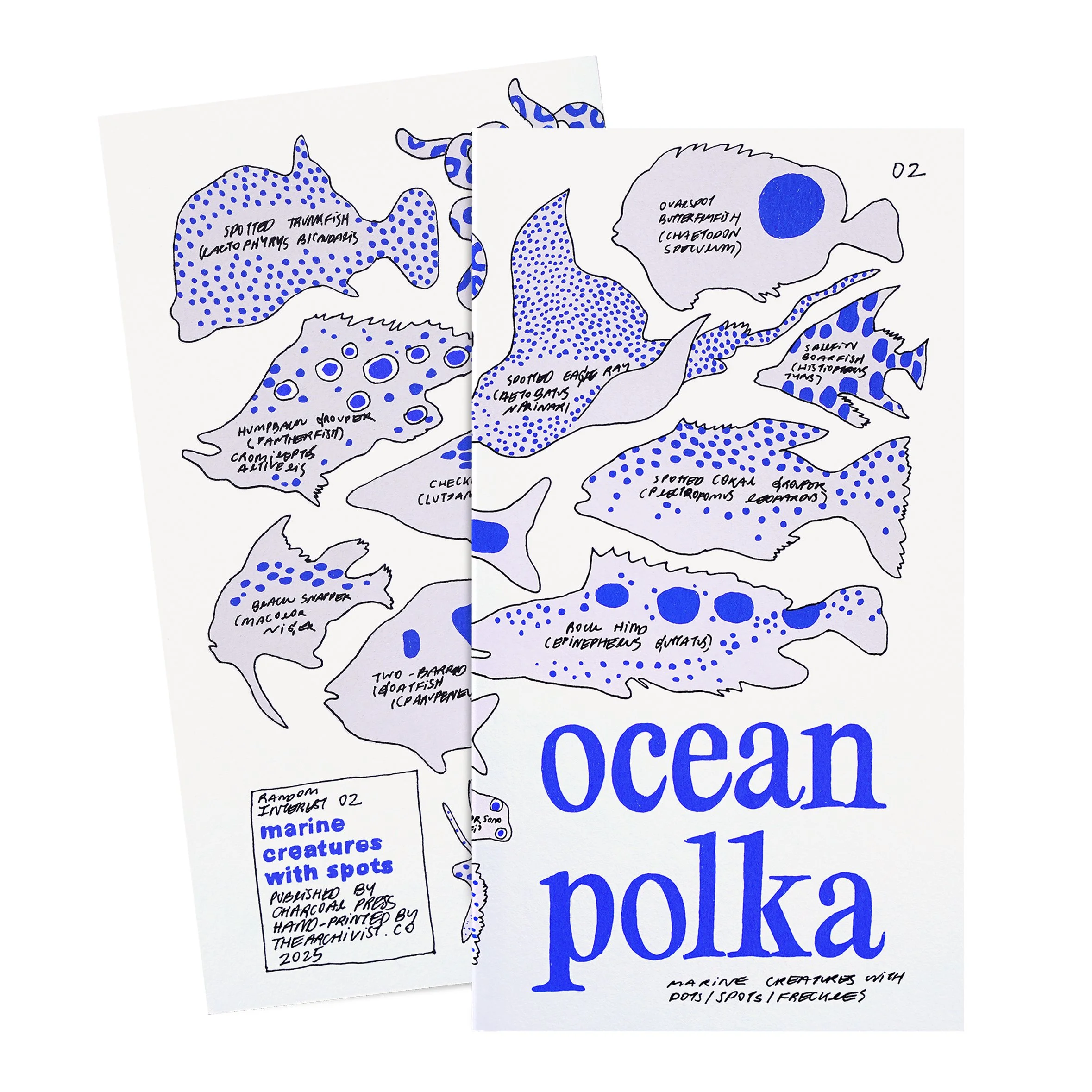 ocean polka