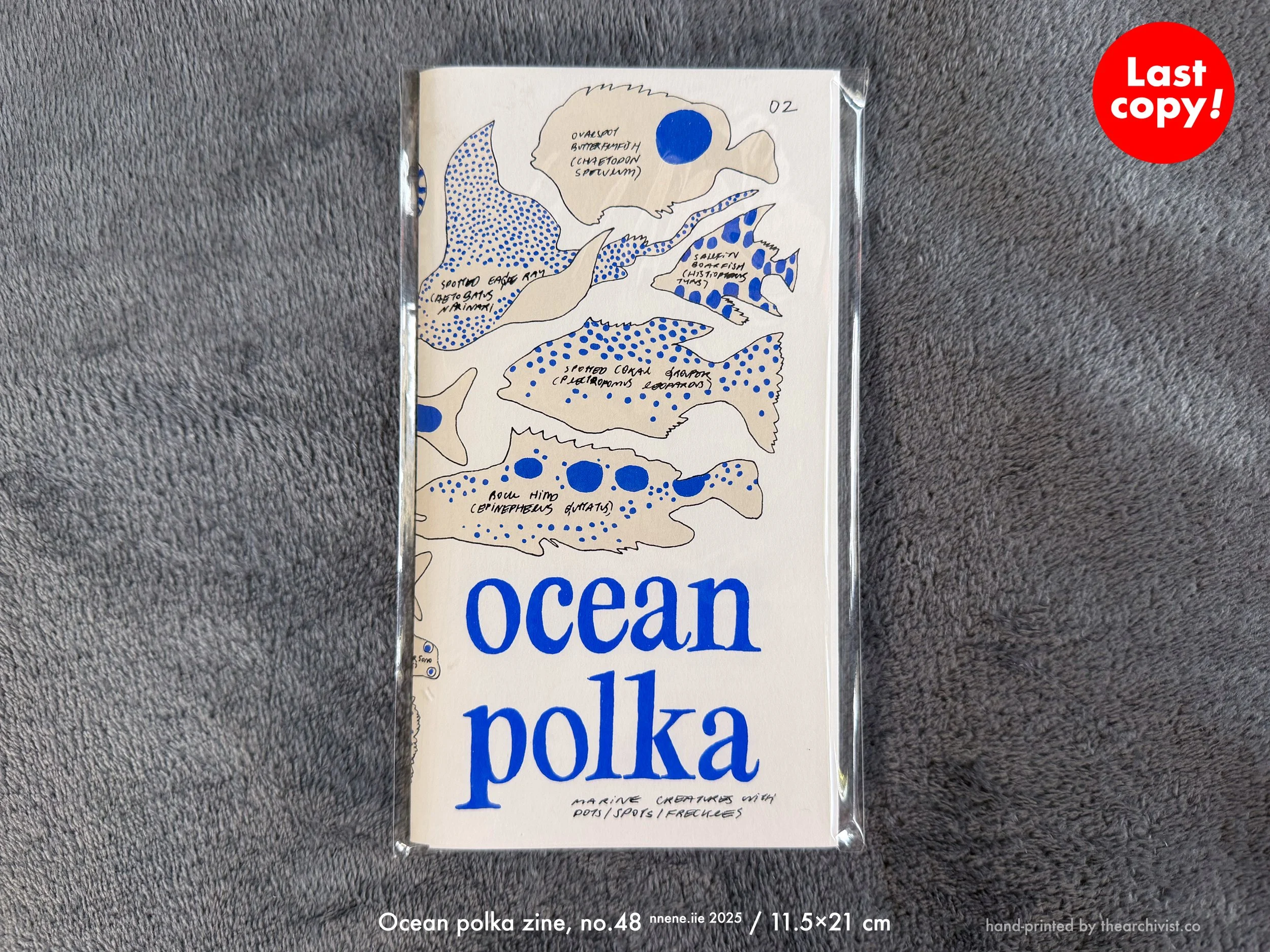 w-OceanPolka.jpg