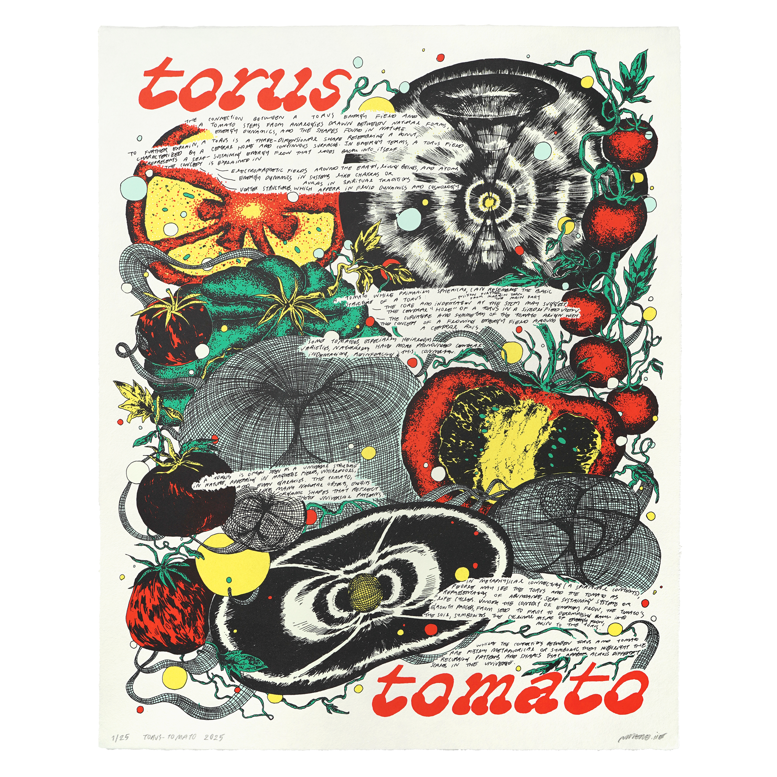 Torus — Tomato