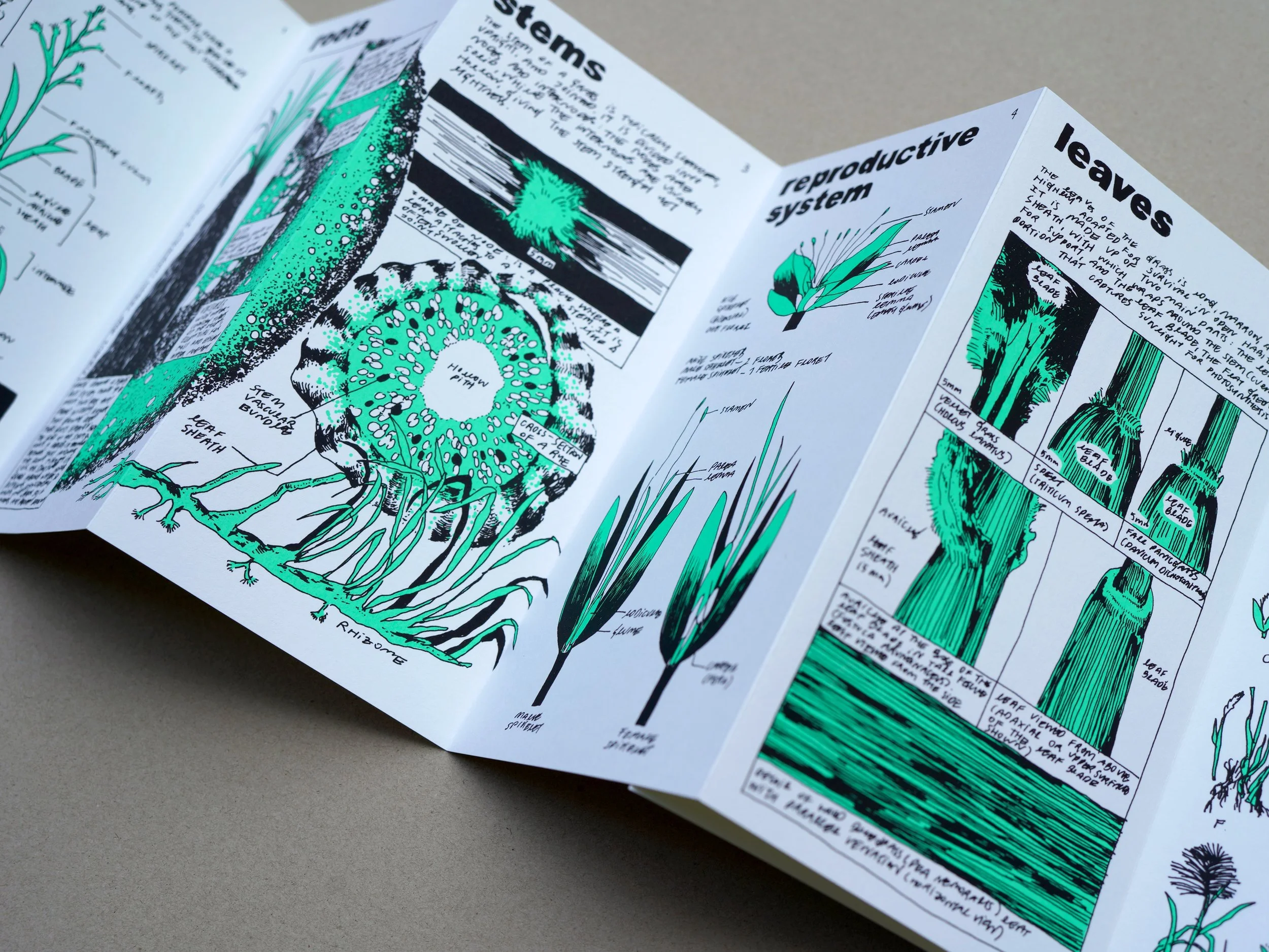 nene_grass_zine_09.jpg
