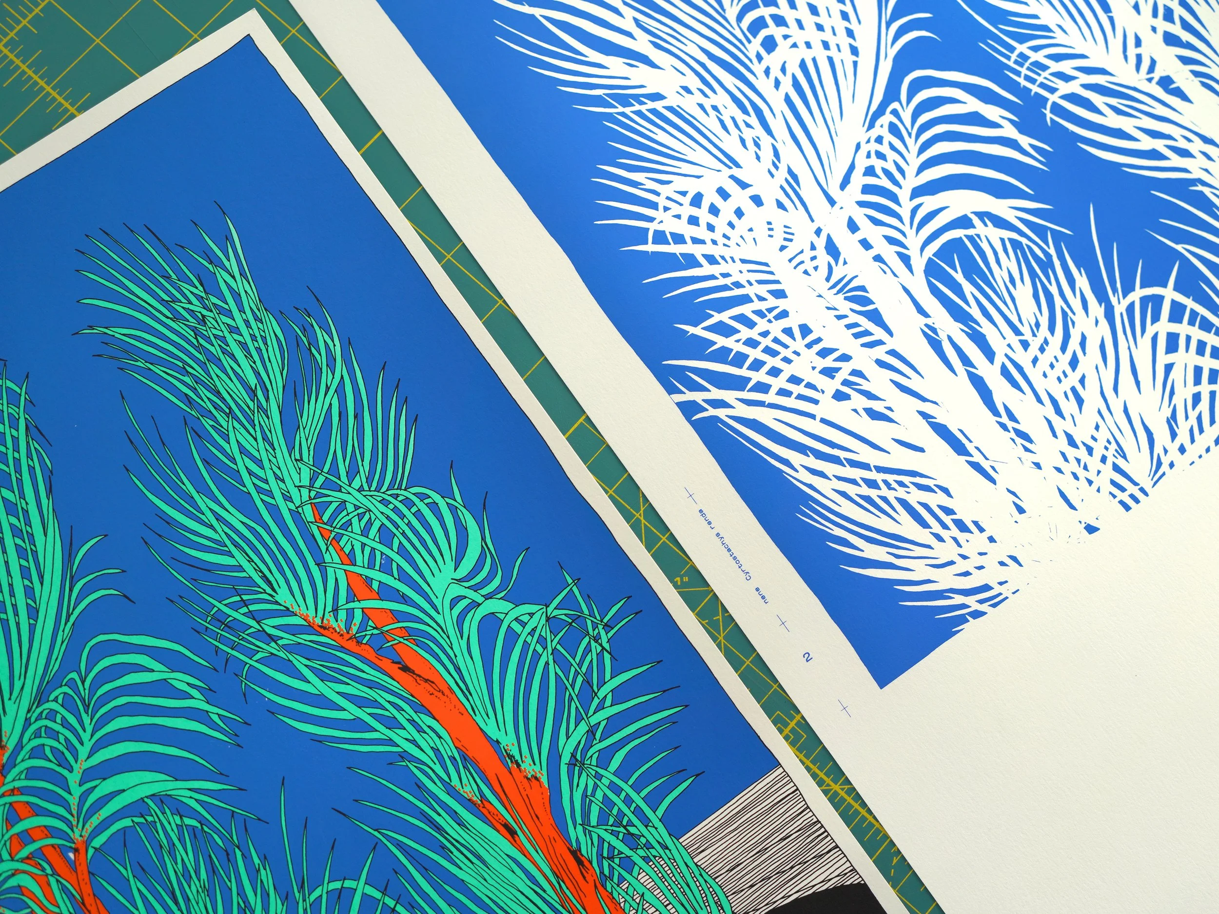 nene_Cyrtostachys renda_01.jpg