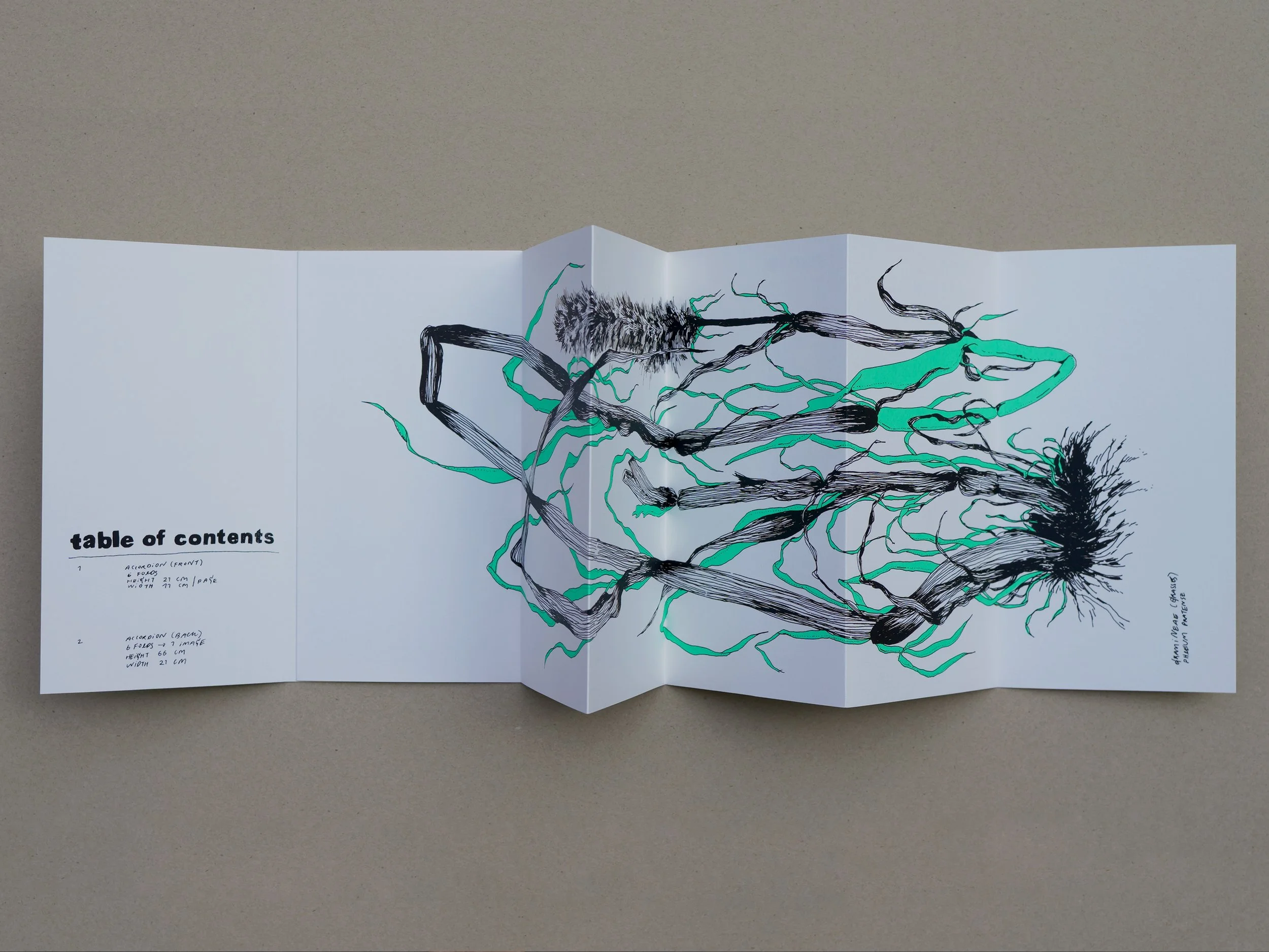 nene_grass_zine_06.jpg