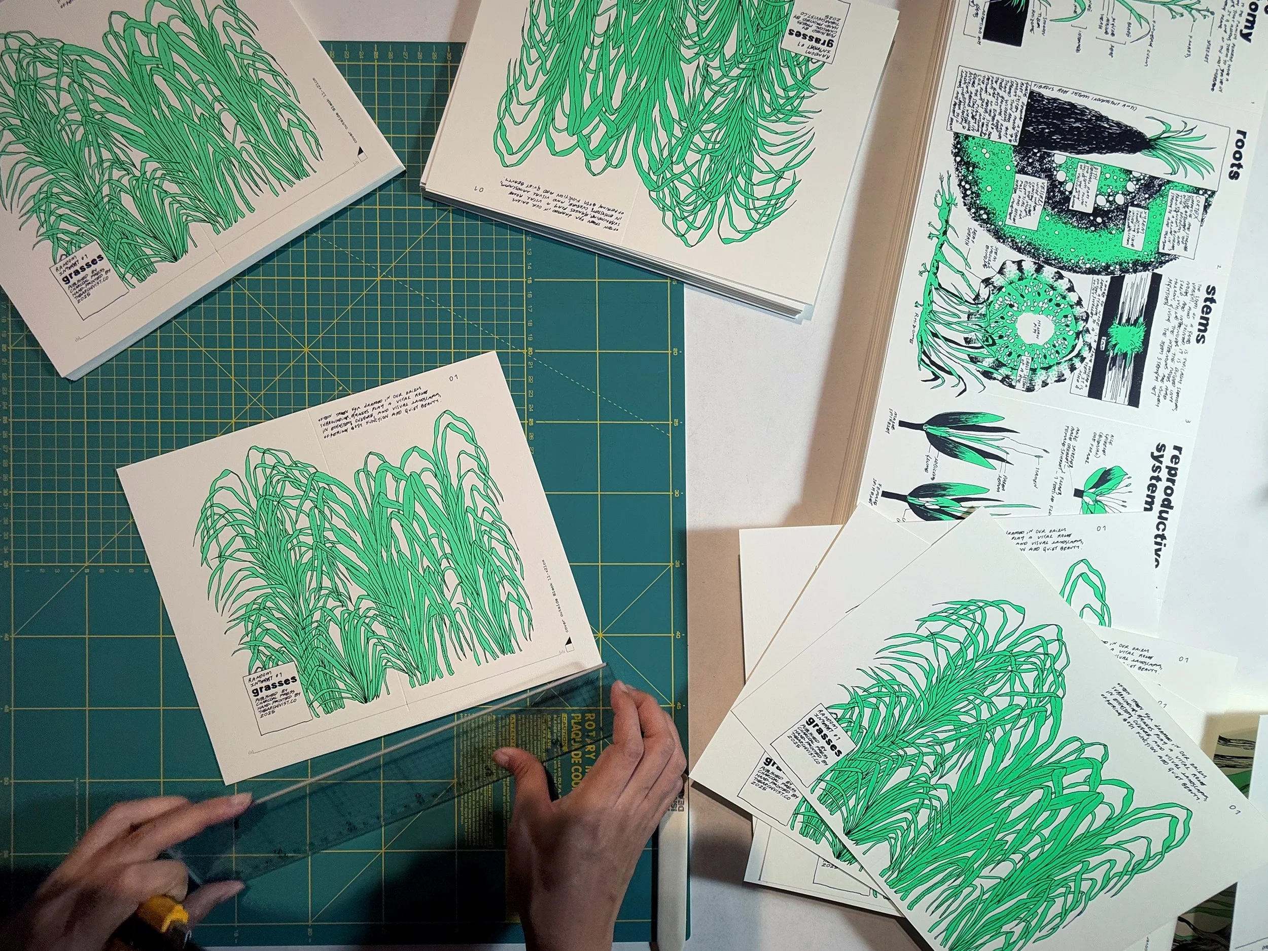 nene_grass_zine_16.jpg